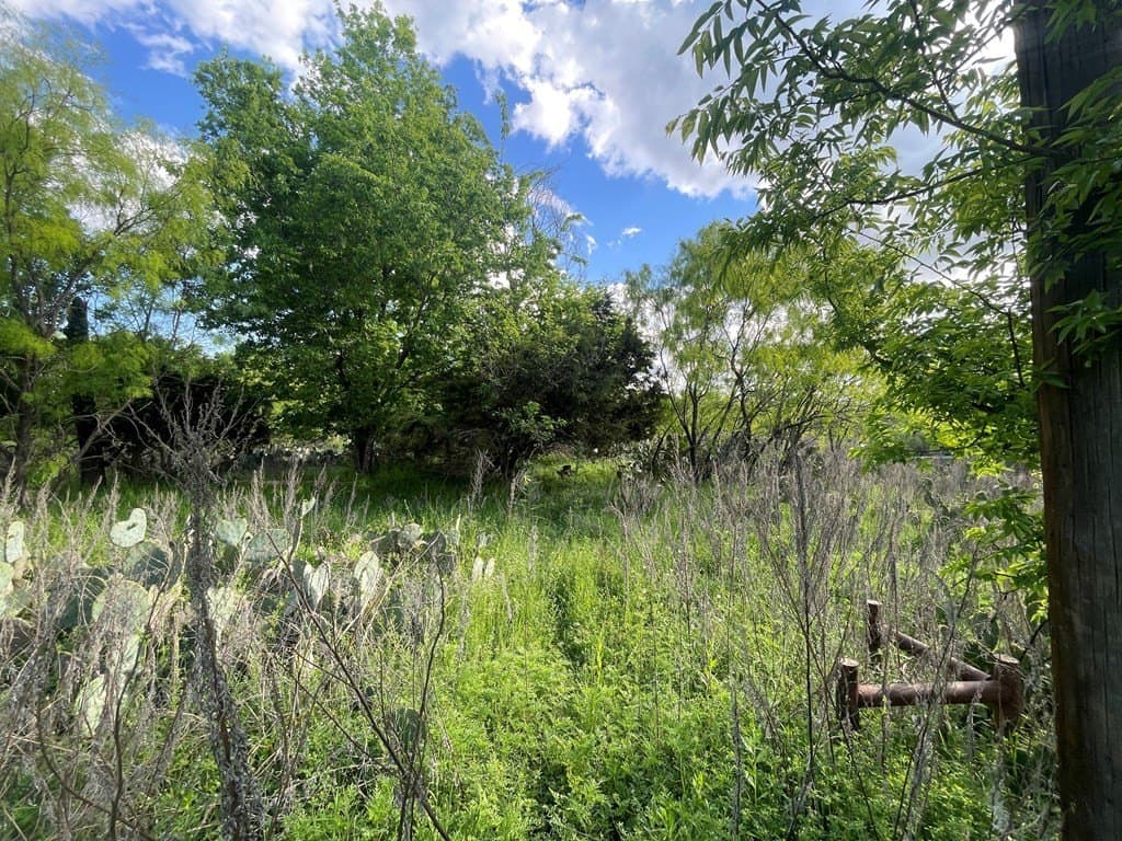 0.8 acres in Menard County - photo 8
