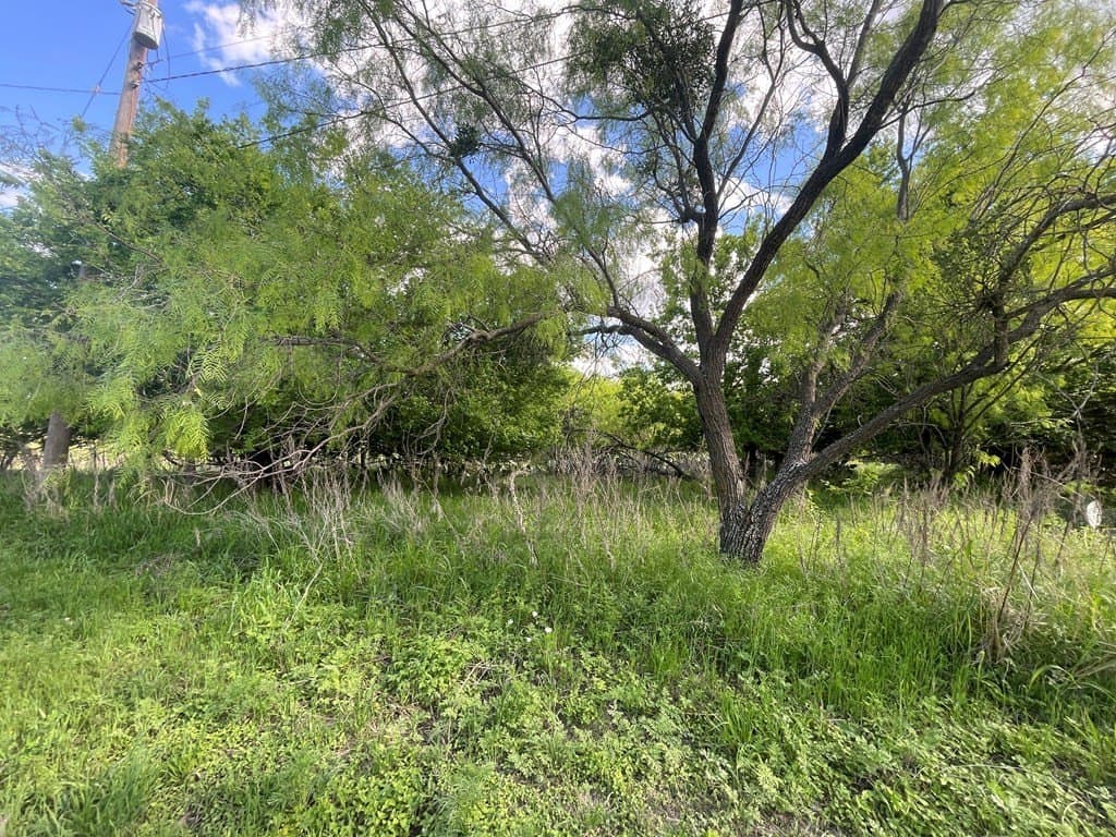 0.8 acres in Menard County - photo 7