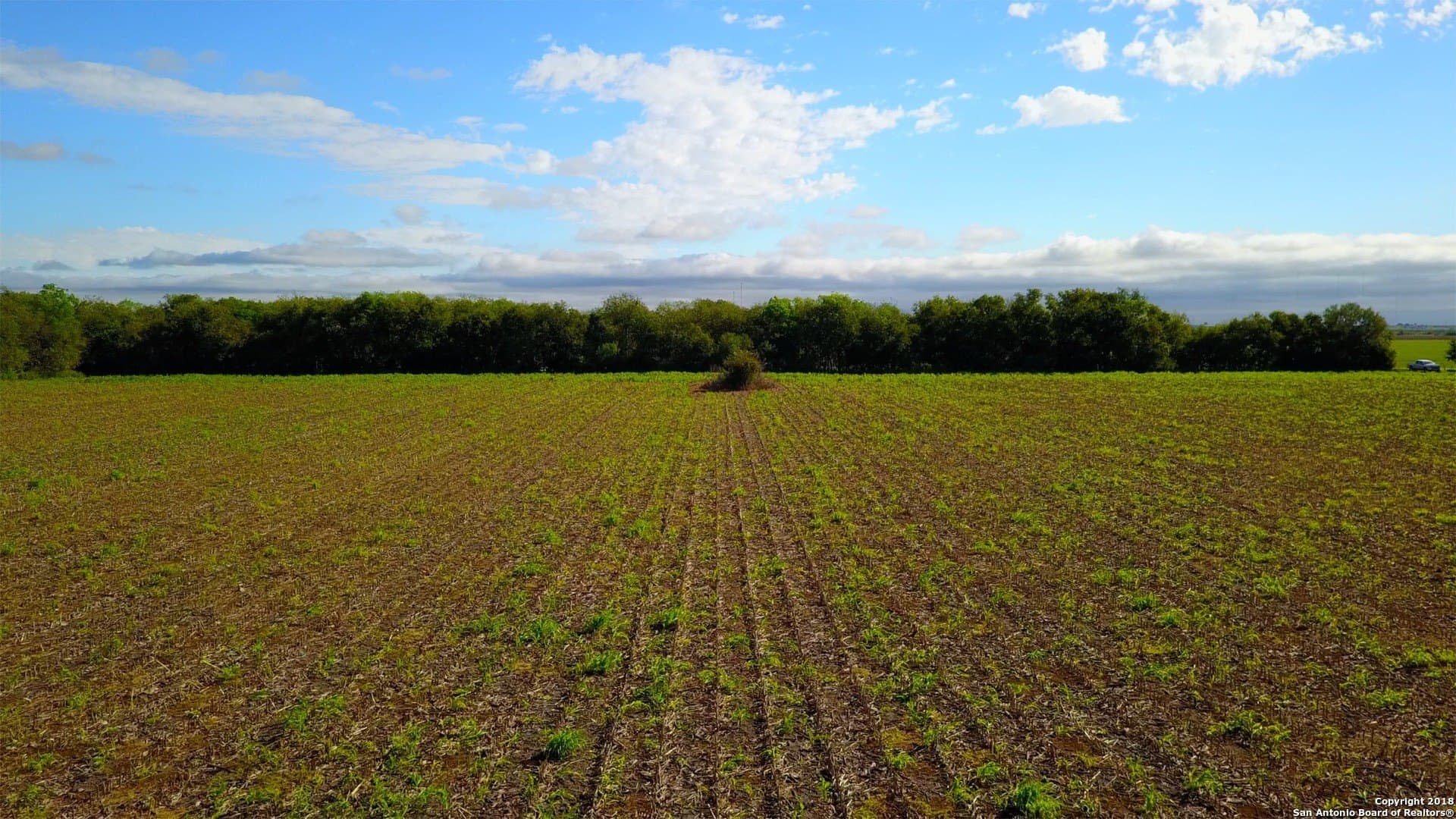 37.59 acres in Guadalupe County - photo 6