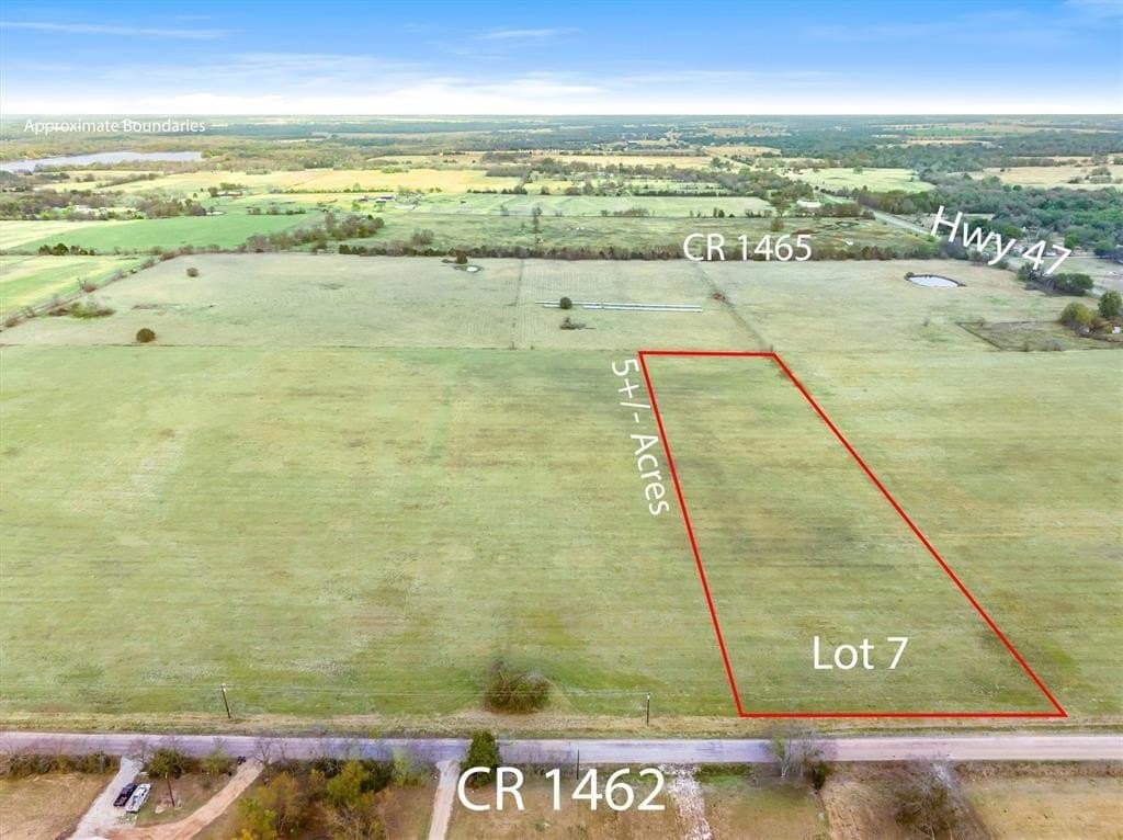 5 acres in Rains County gallery image 2