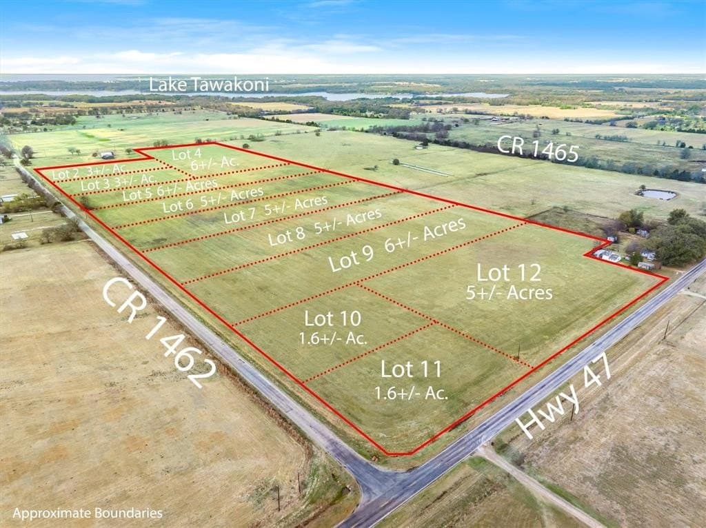 5 acres in Rains County gallery image 4