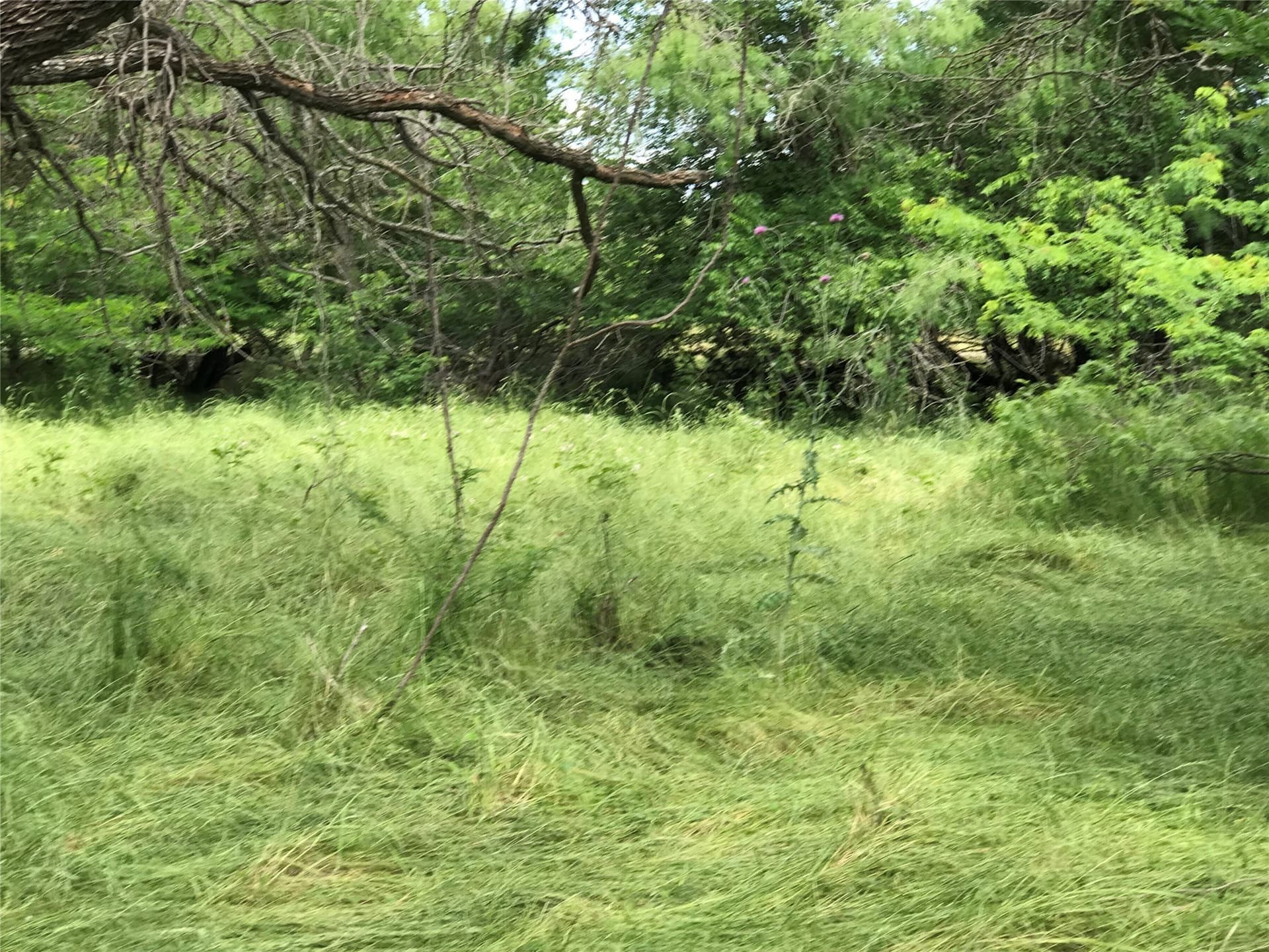 0.31 acres in Hill County - photo 19