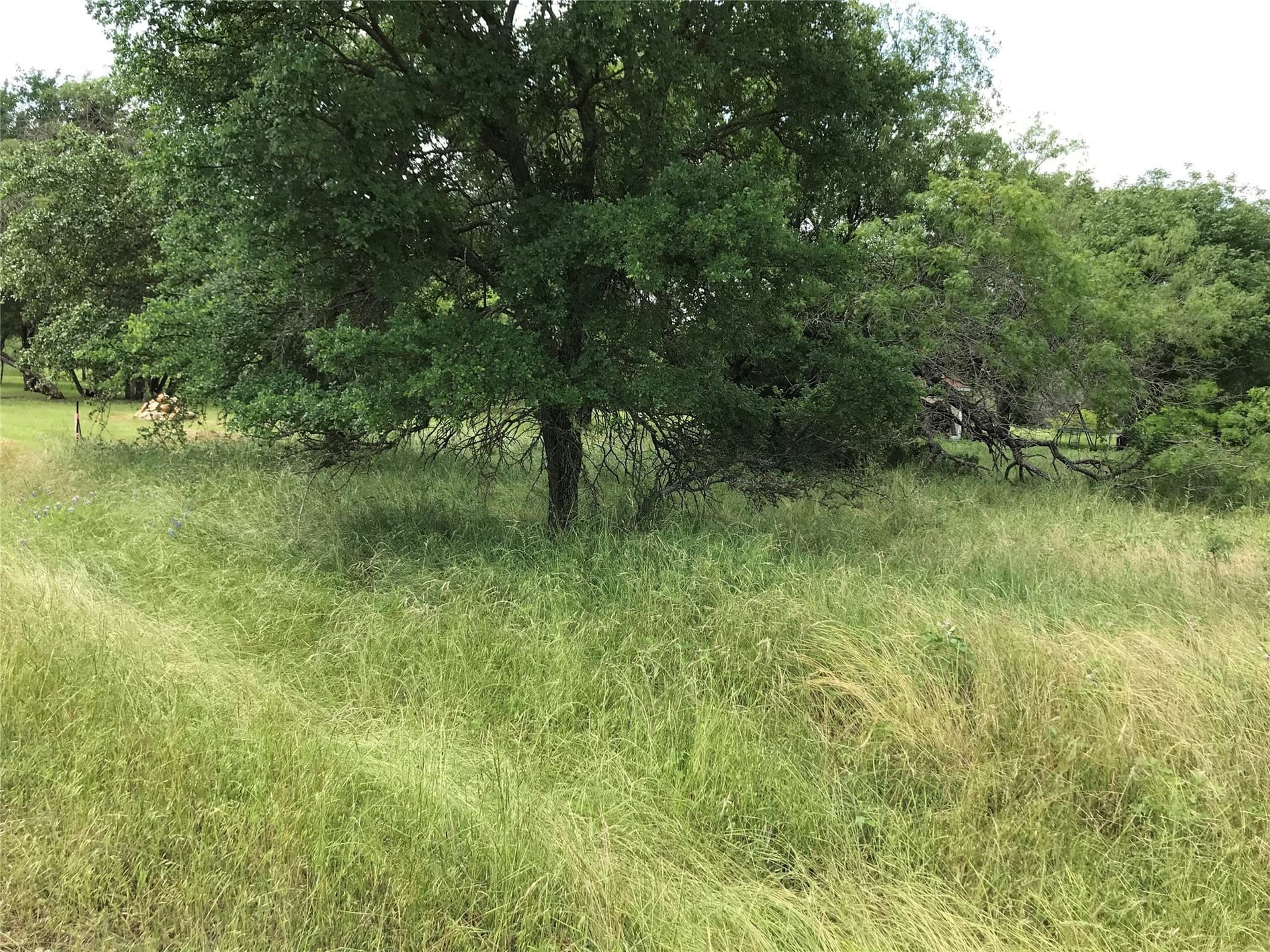 0.31 acres in Hill County - photo 29