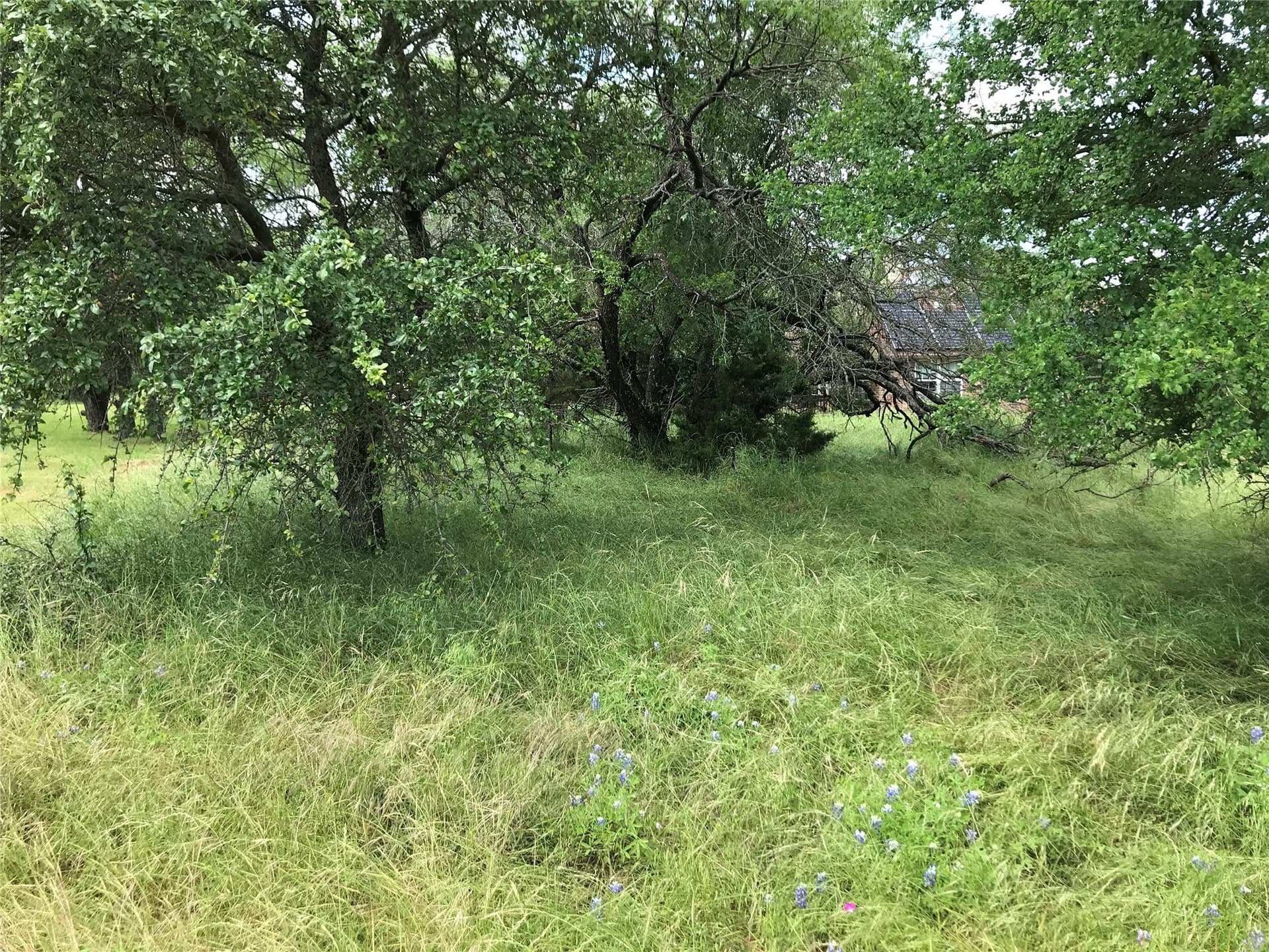 0.31 acres in Hill County - photo 26