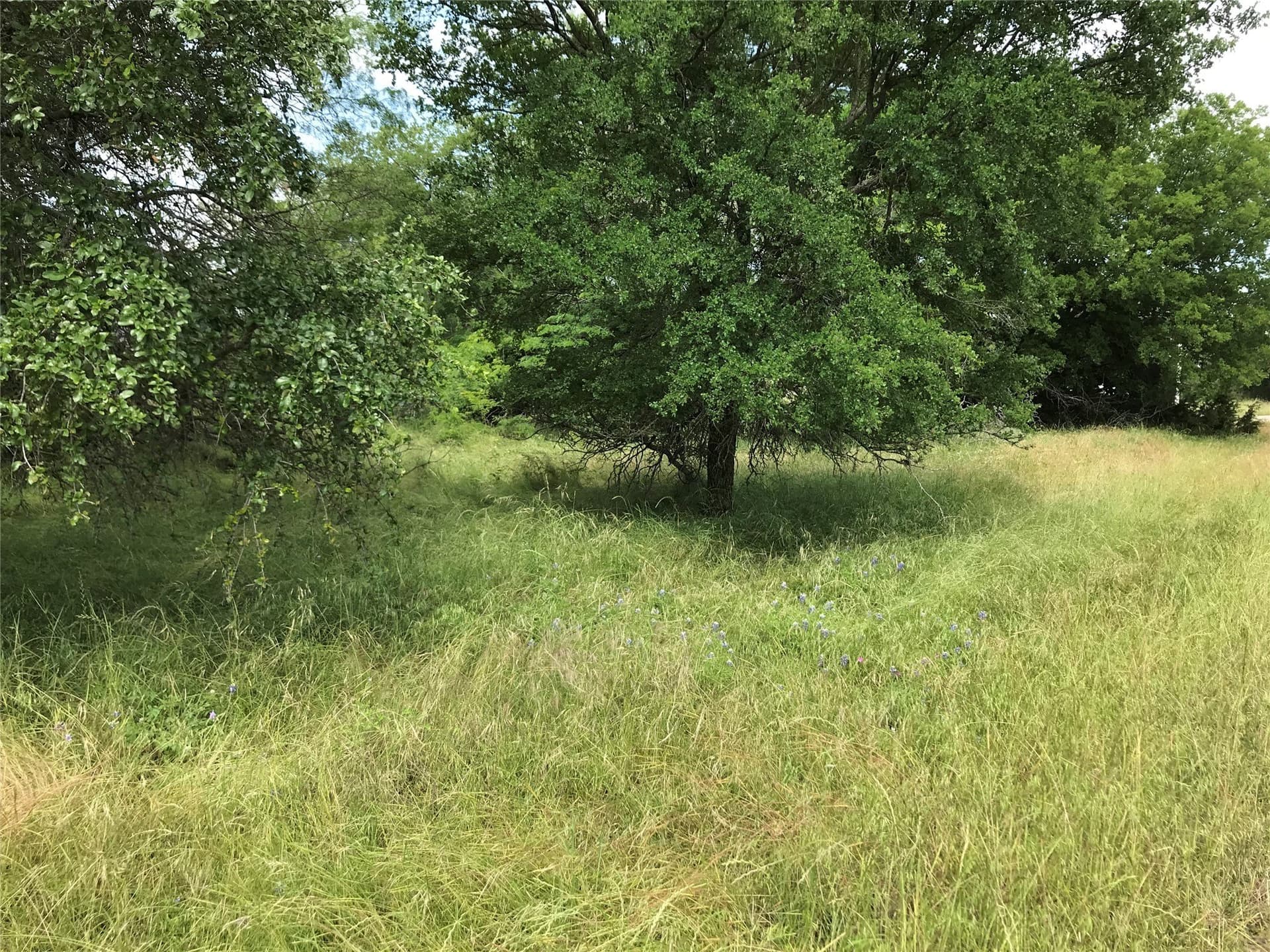 0.31 acres in Hill County - photo 22
