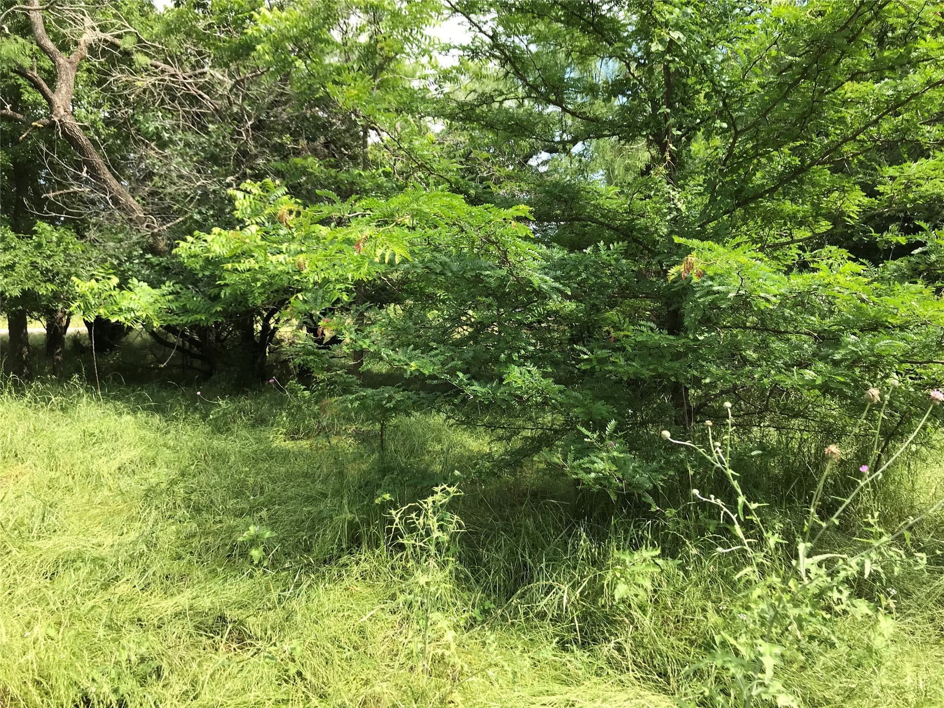 0.31 acres in Hill County - photo 9