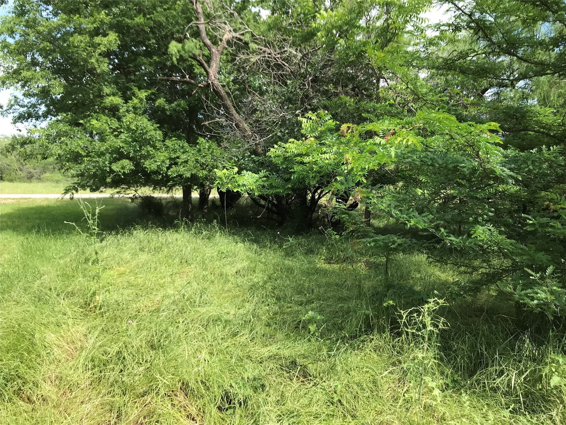 0.31 acres in Hill County - photo 10