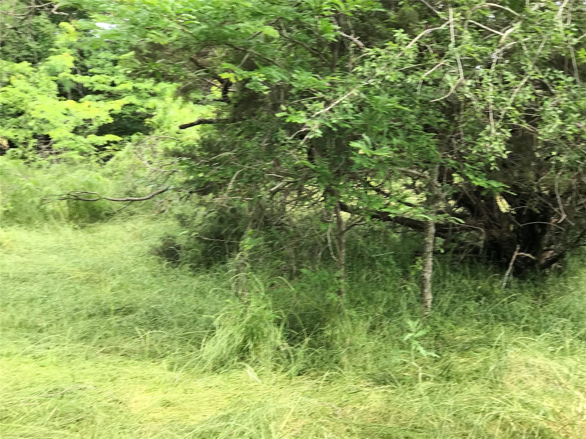 0.31 acres in Hill County - photo 17