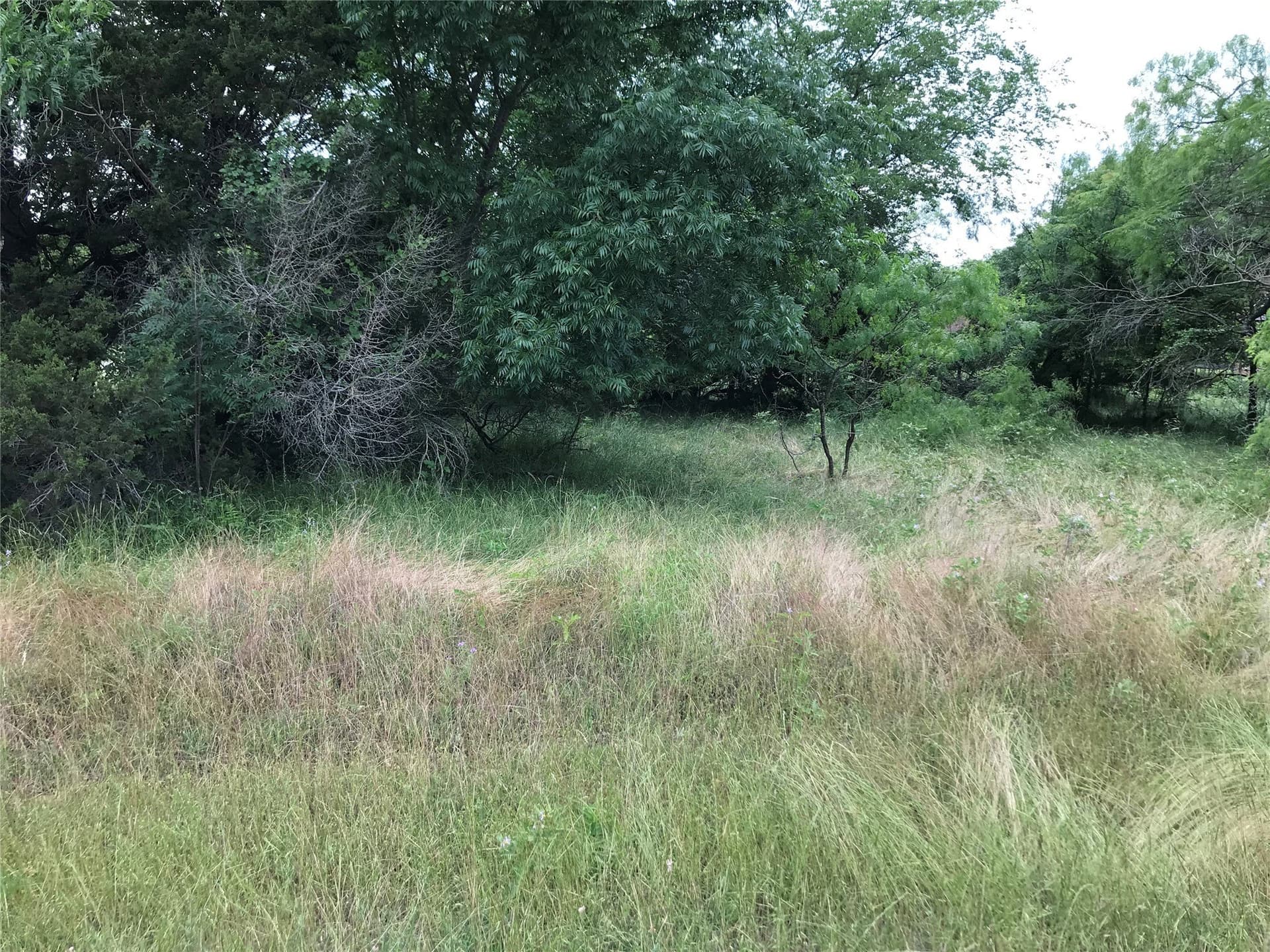 0.31 acres in Hill County - photo 32