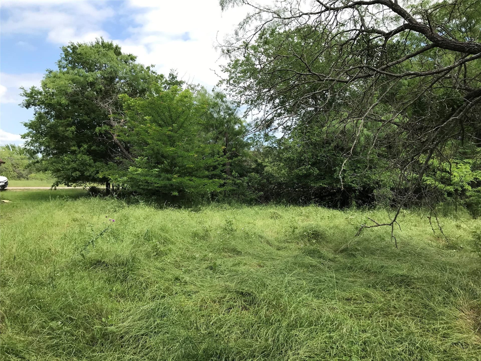 0.31 acres in Hill County - photo 12