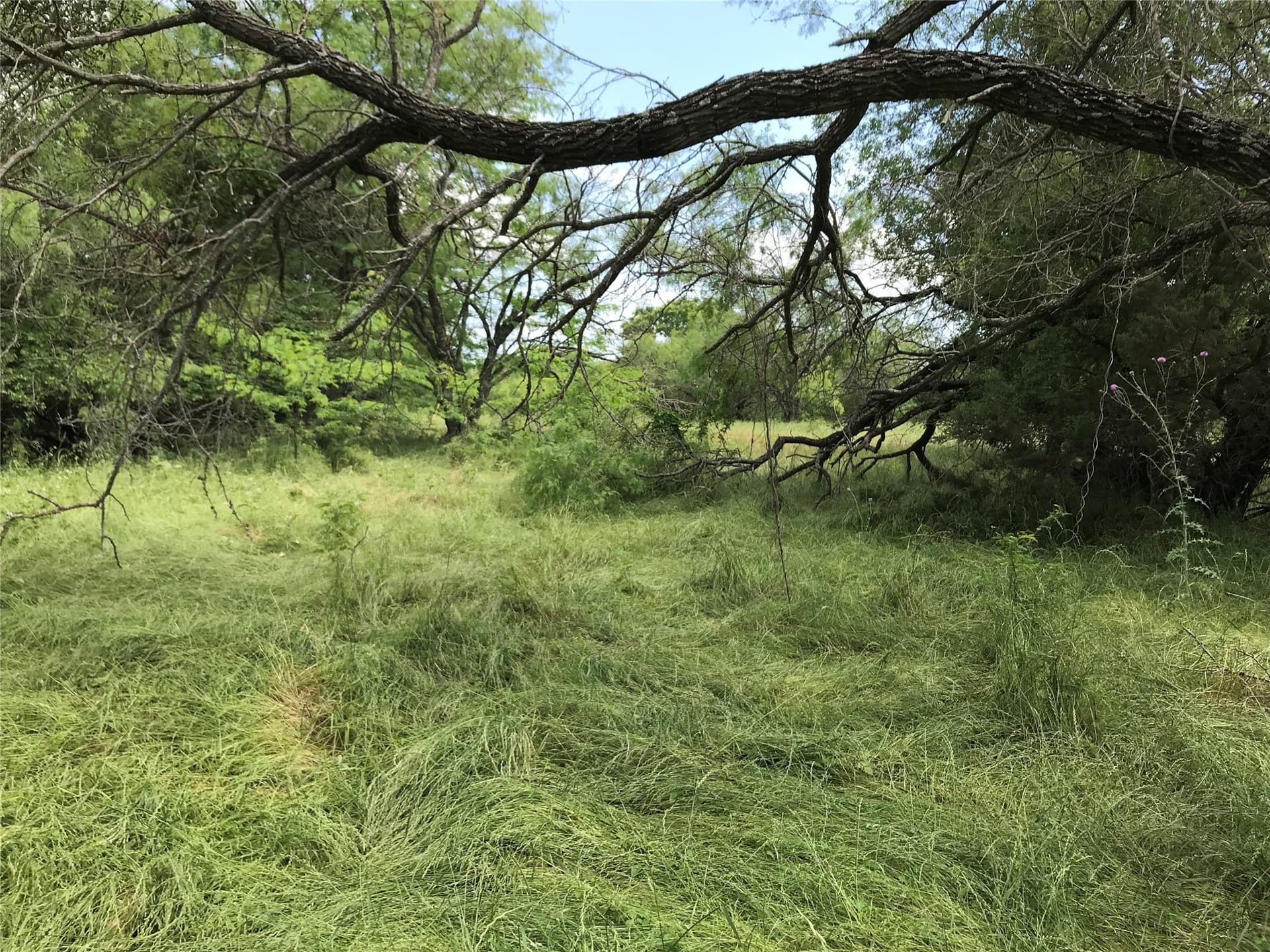0.31 acres in Hill County - photo 14