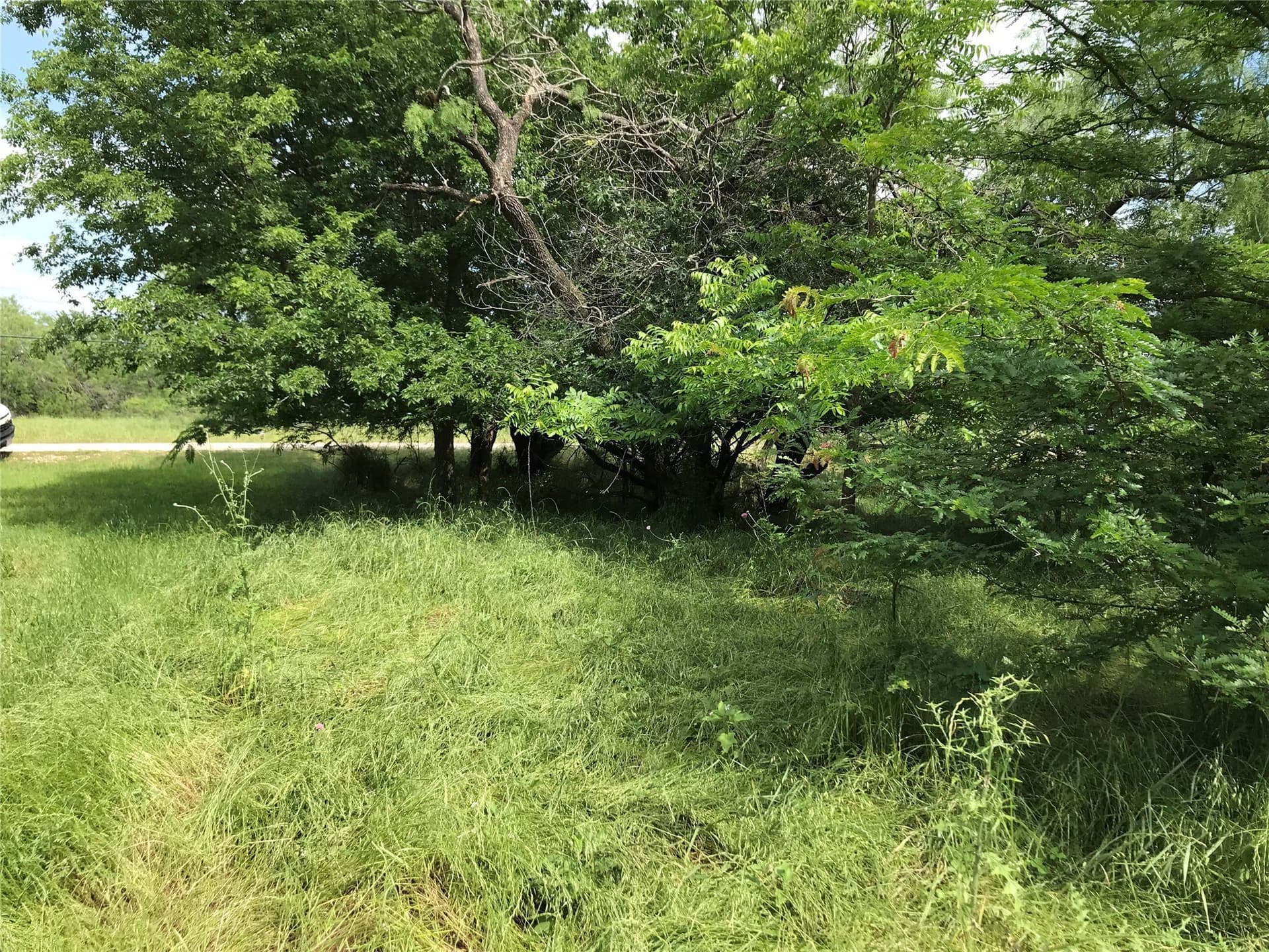 0.31 acres in Hill County - photo 11