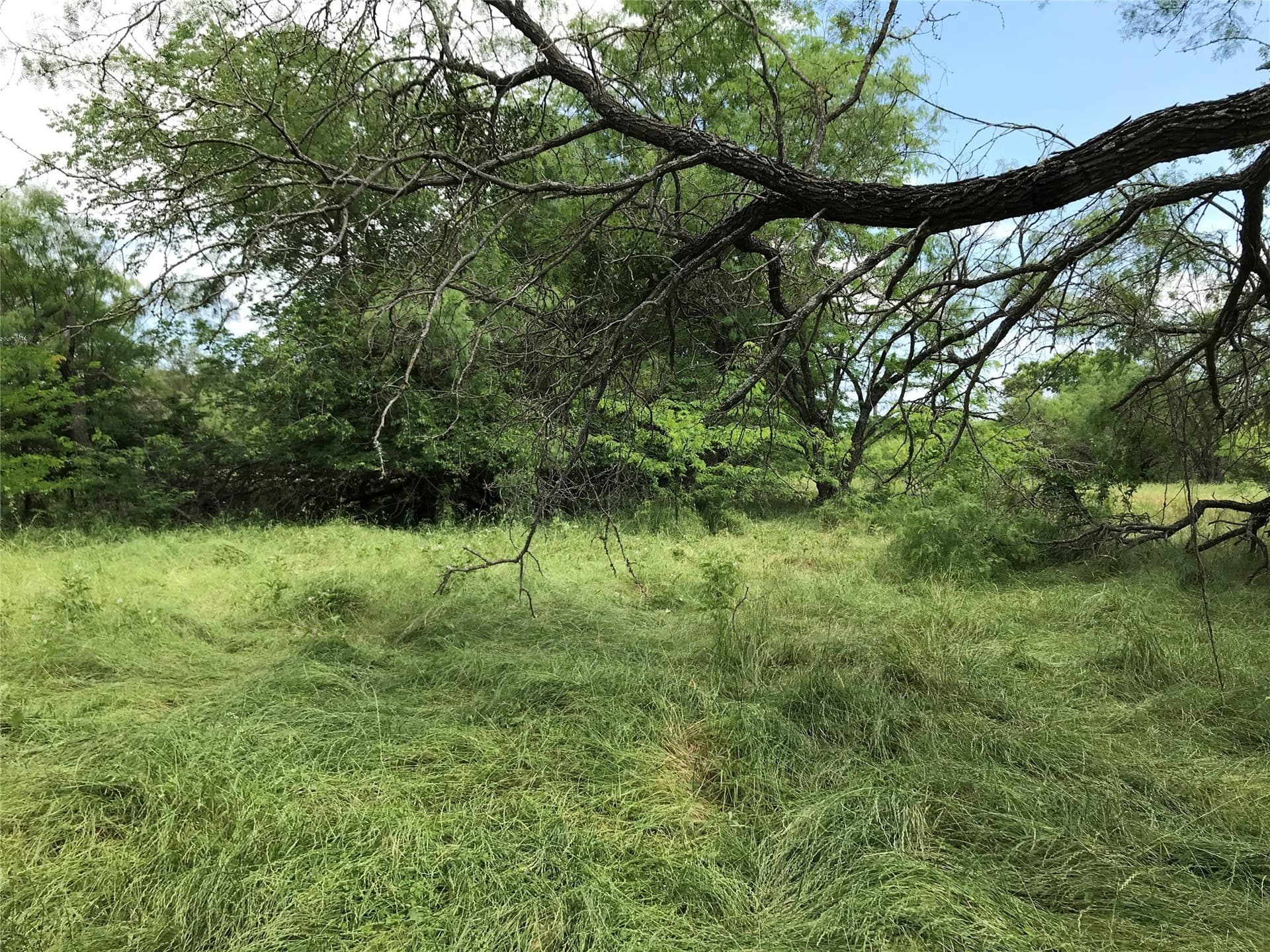 0.31 acres in Hill County - photo 13