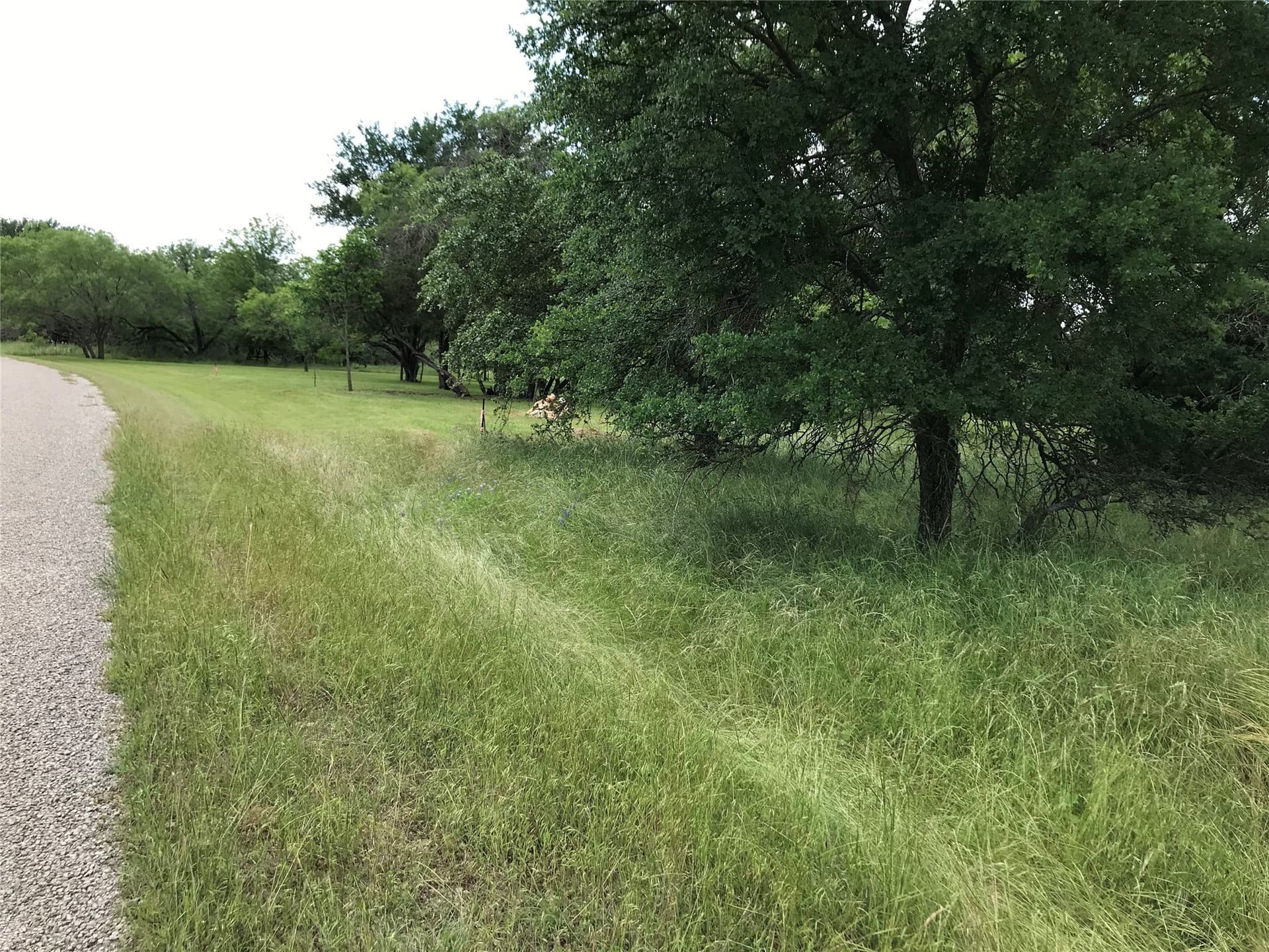 0.31 acres in Hill County - photo 30
