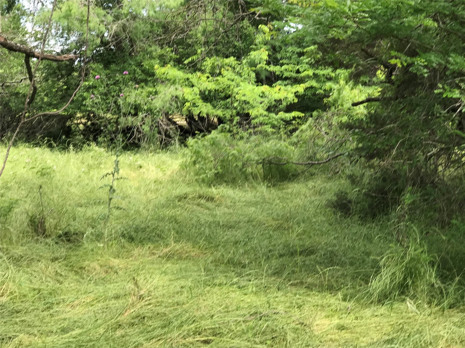 0.31 acres in Hill County - photo 18