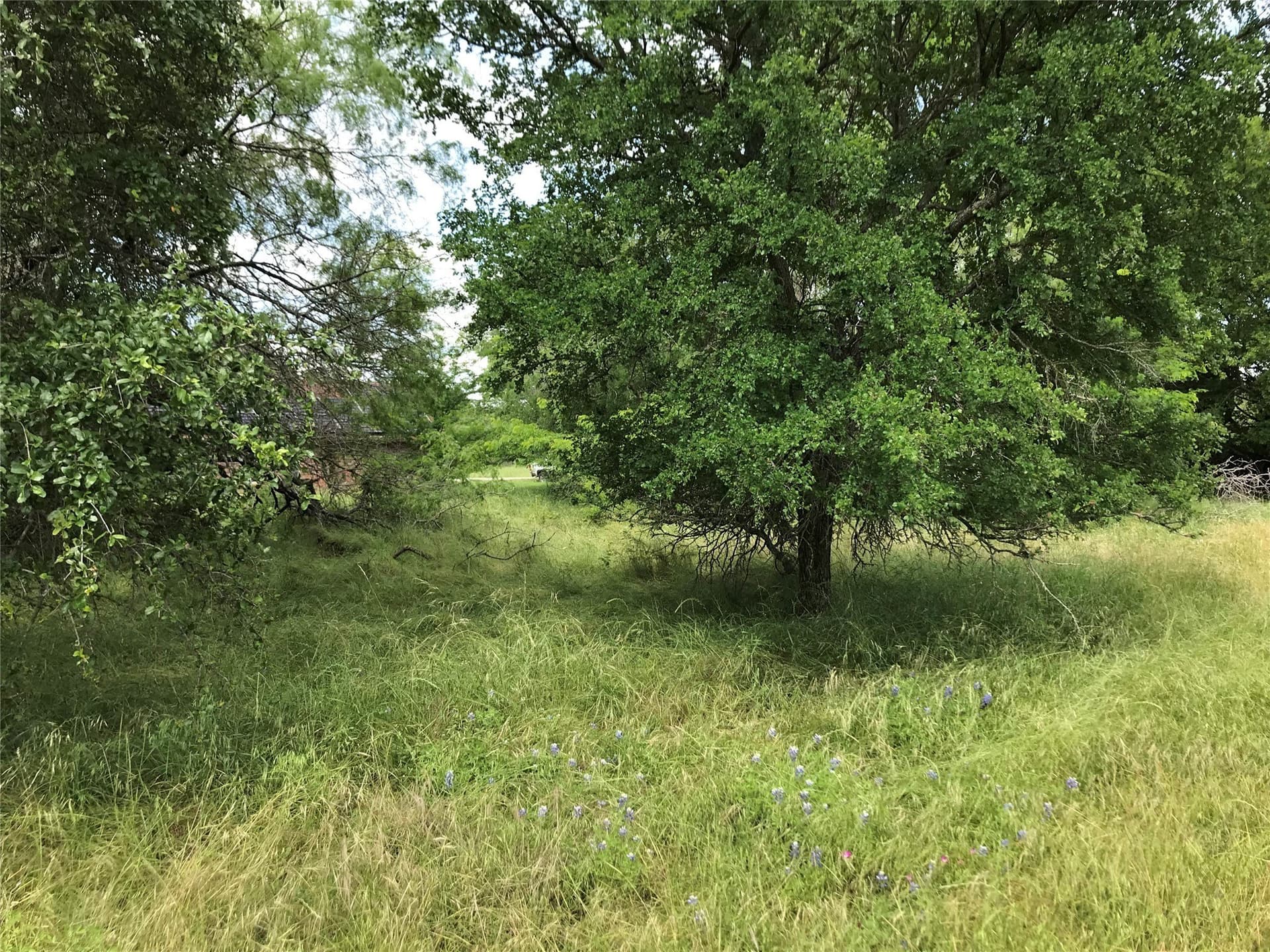0.31 acres in Hill County - photo 25