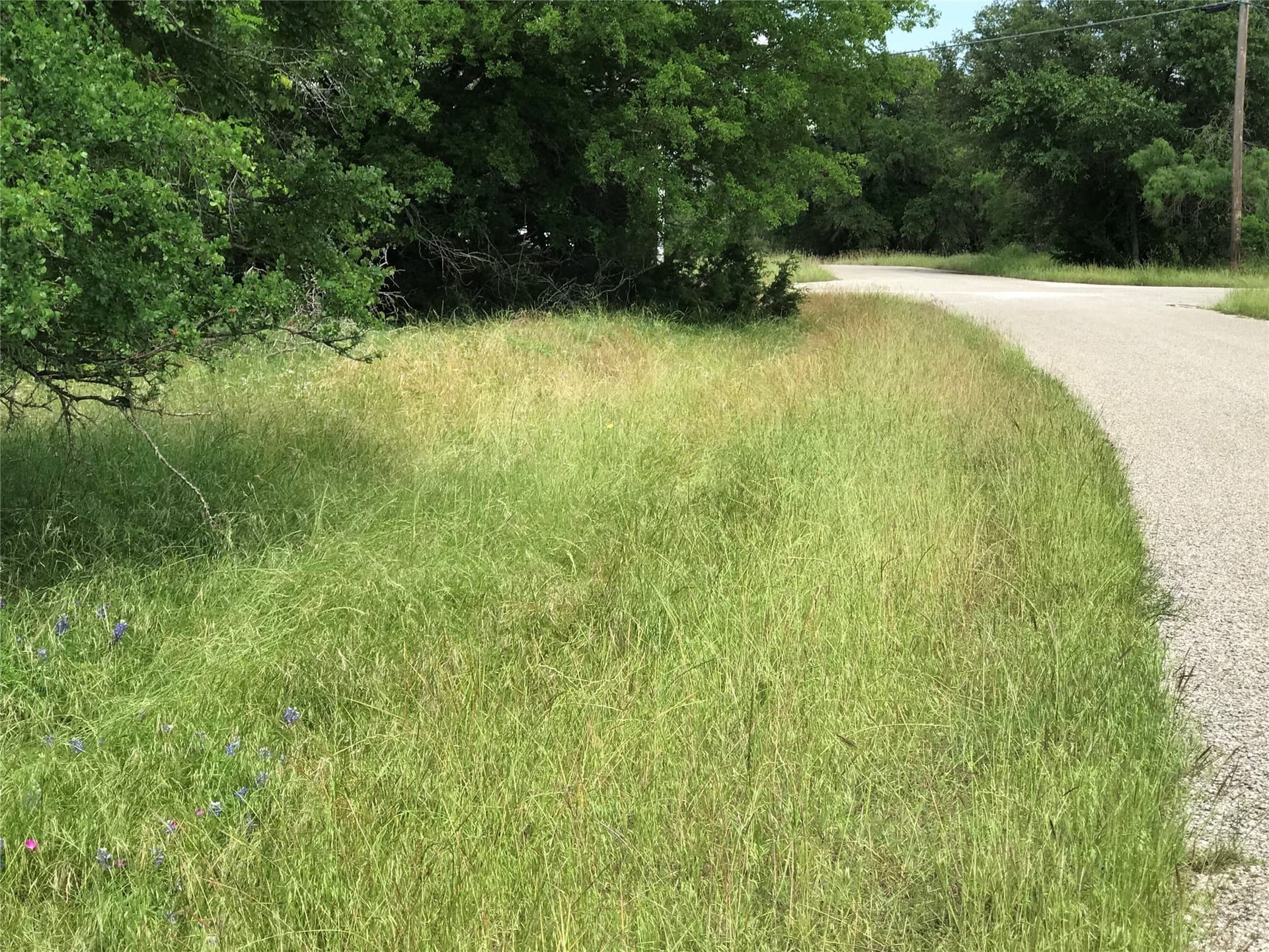 0.31 acres in Hill County - photo 20