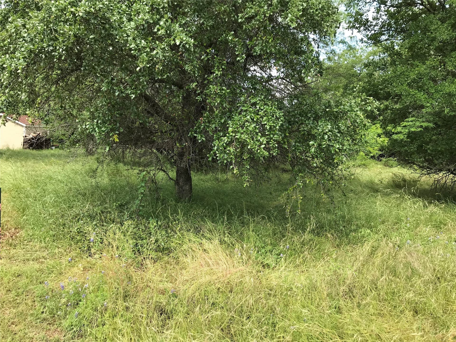 0.31 acres in Hill County - photo 24