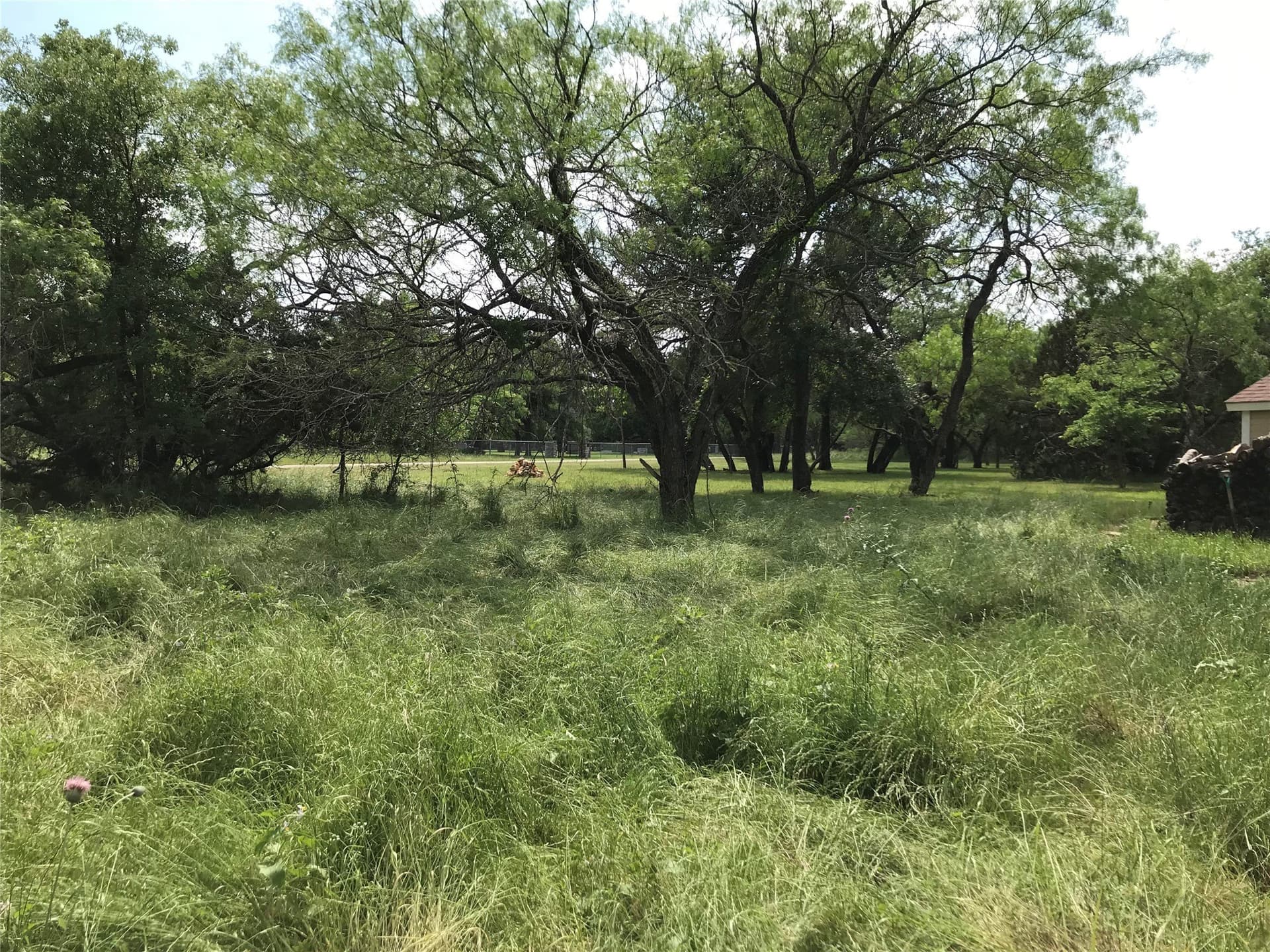 0.31 acres in Hill County gallery image 3