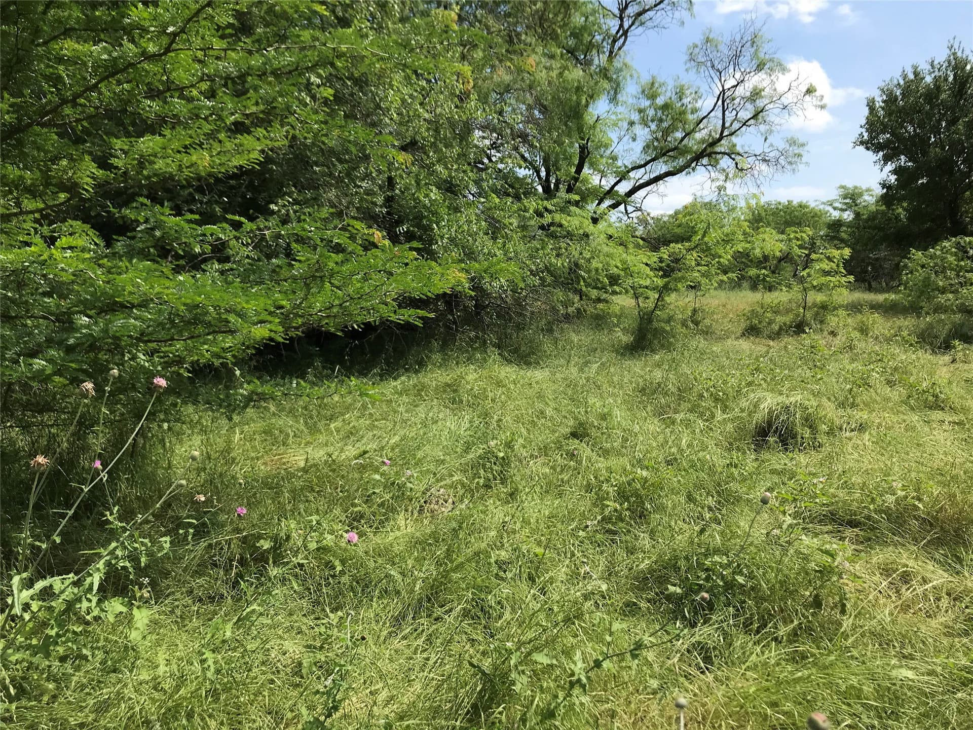 0.31 acres in Hill County - photo 7