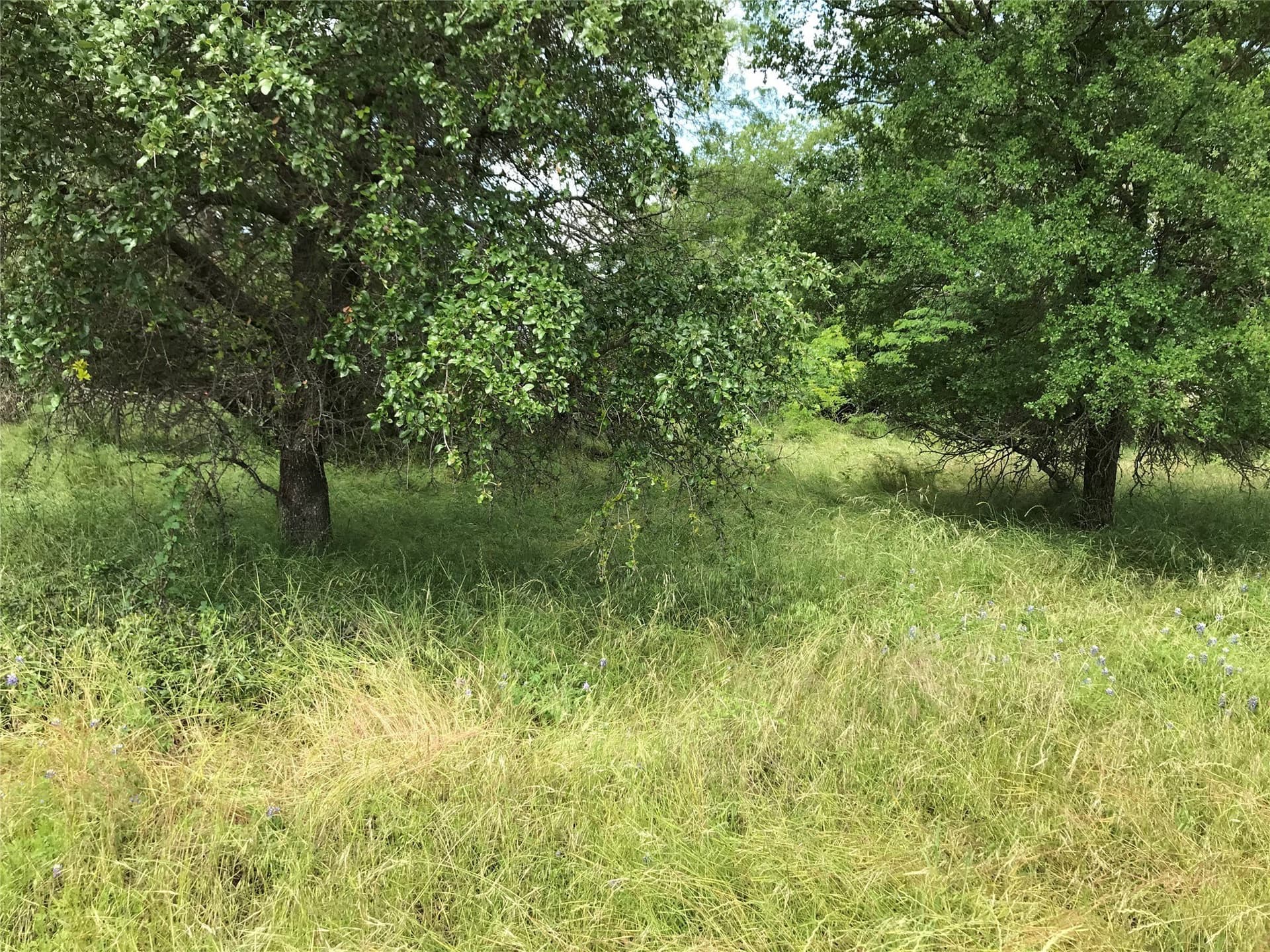 0.31 acres in Hill County - photo 23