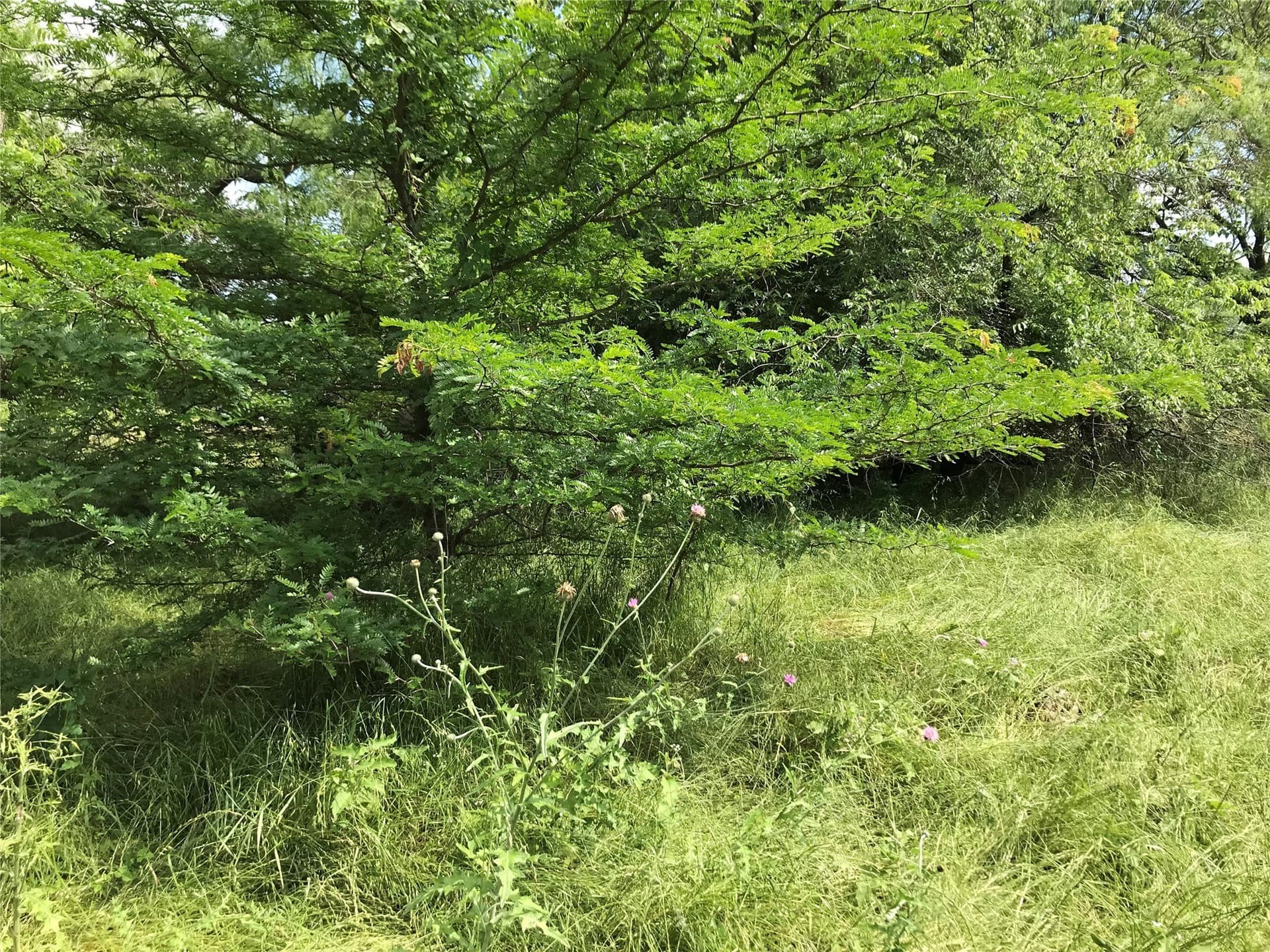 0.31 acres in Hill County - photo 8