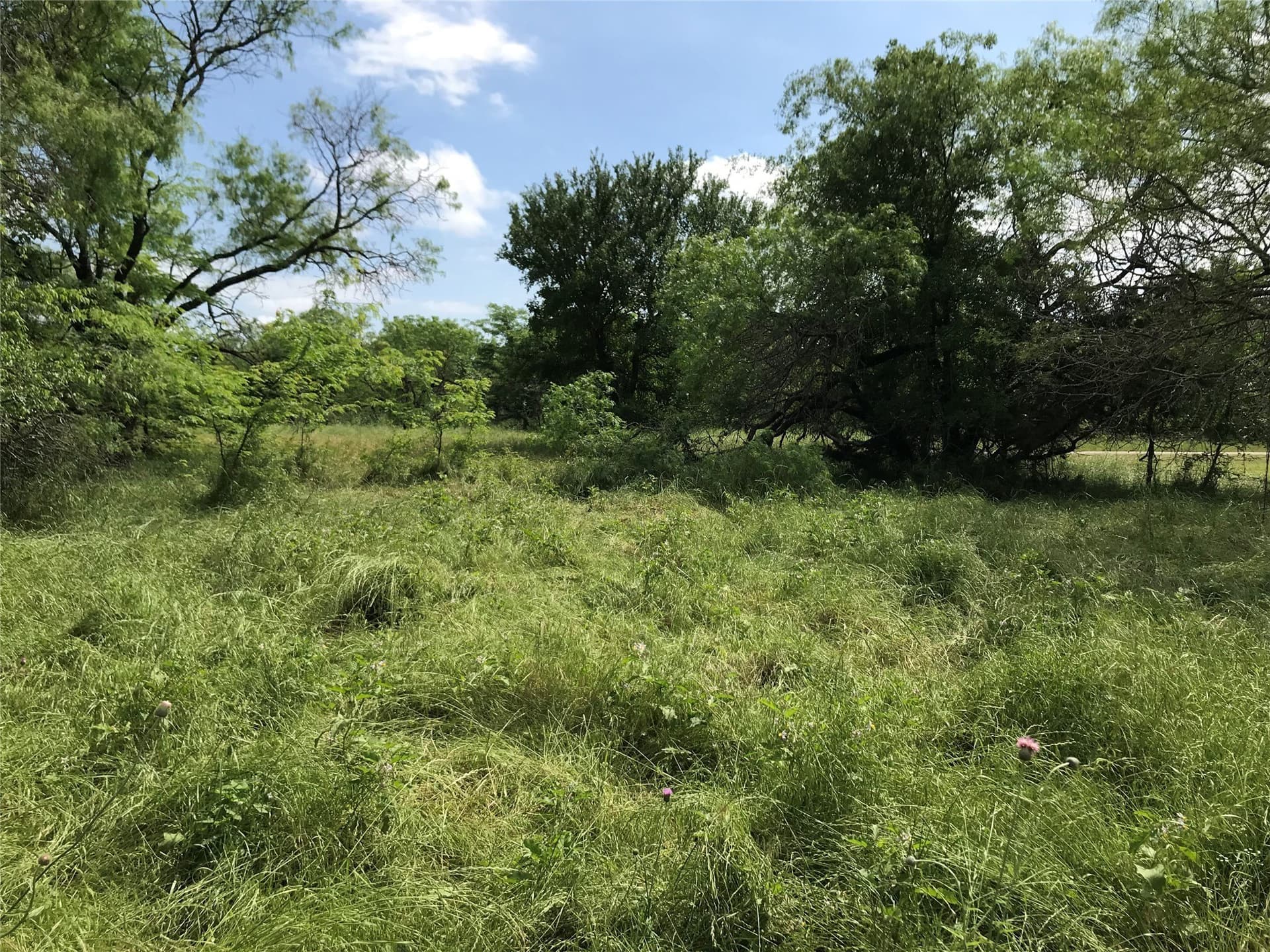0.31 acres in Hill County featured view