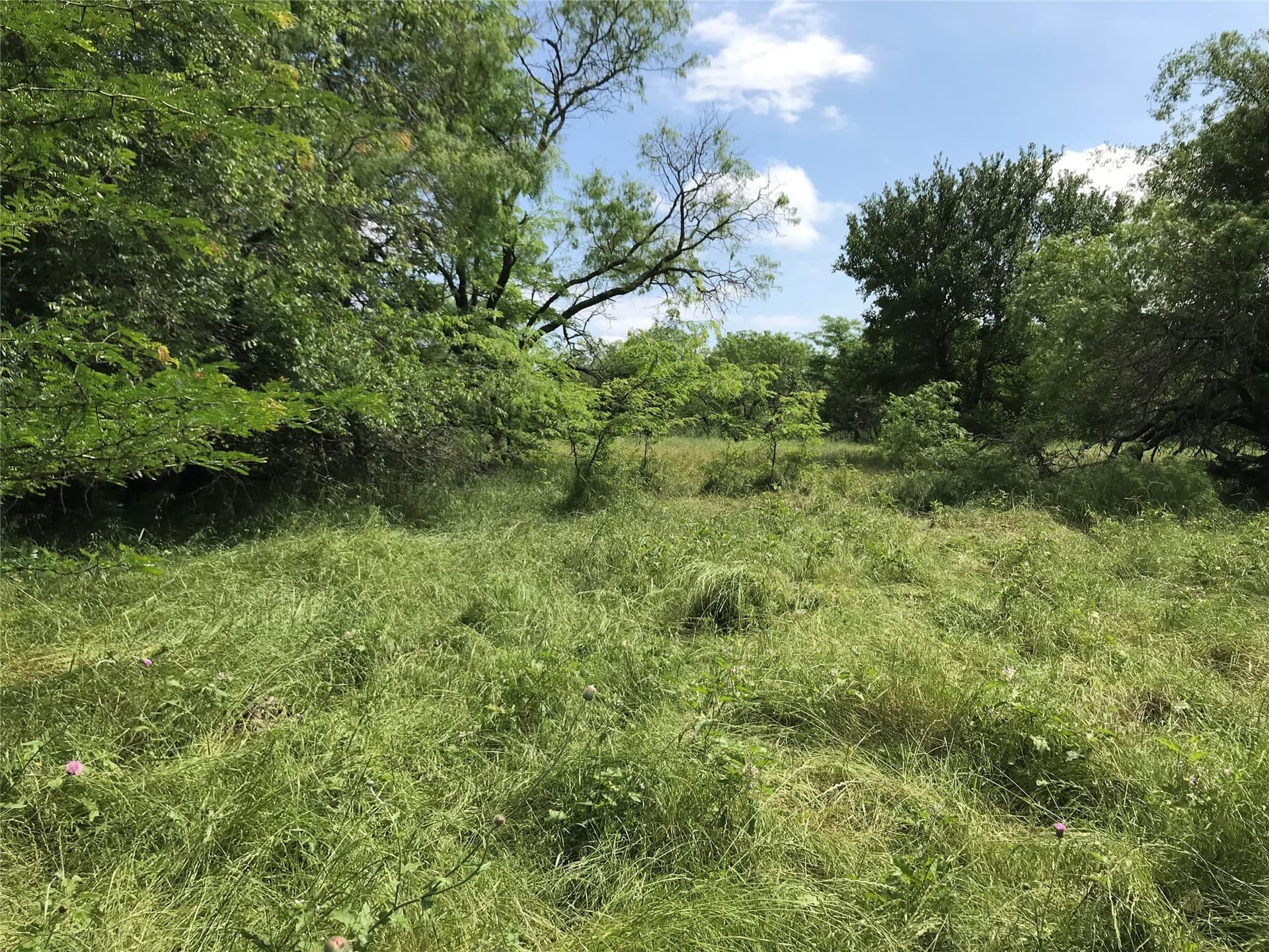 0.31 acres in Hill County - photo 6