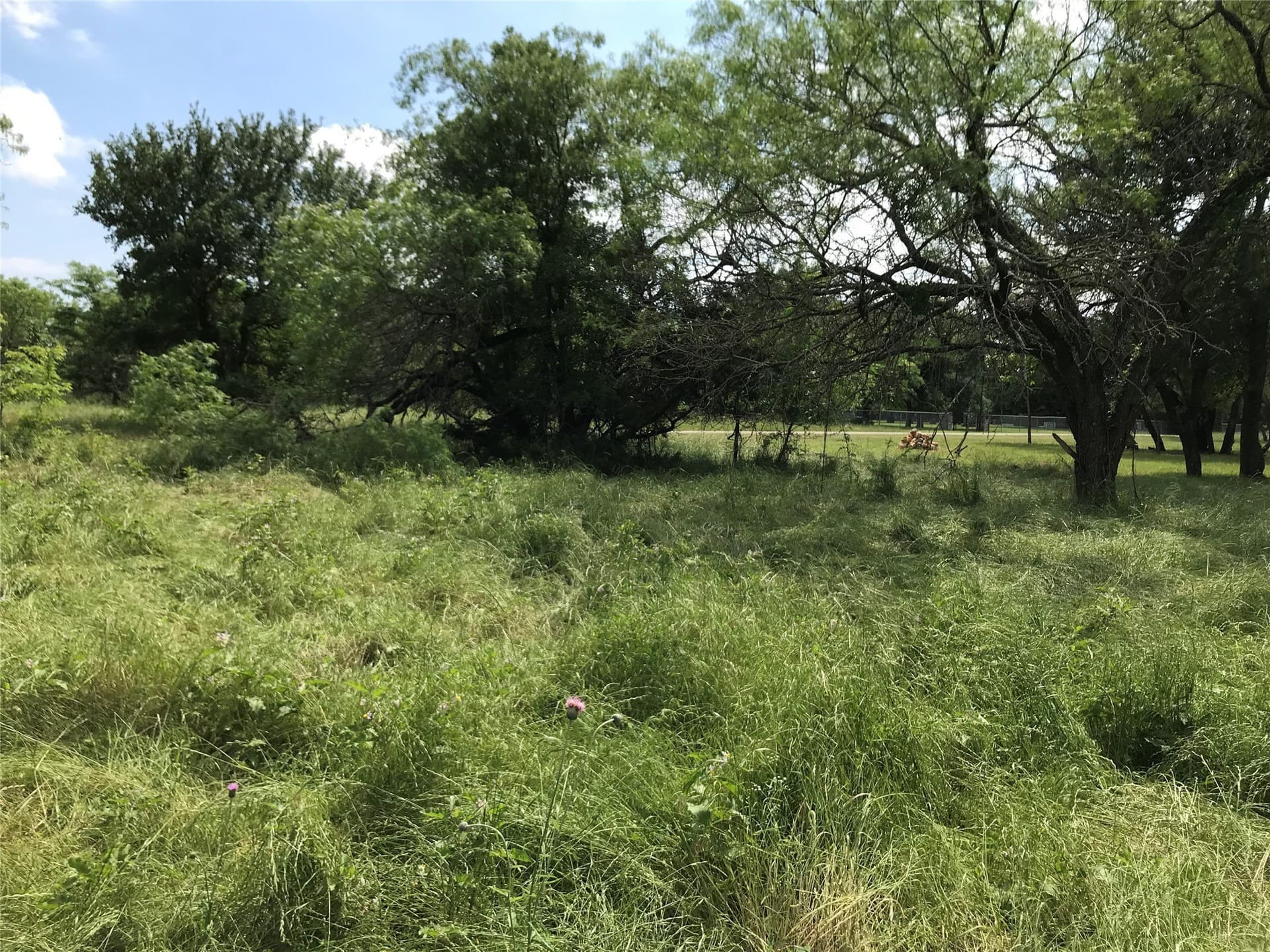0.31 acres in Hill County gallery image 4