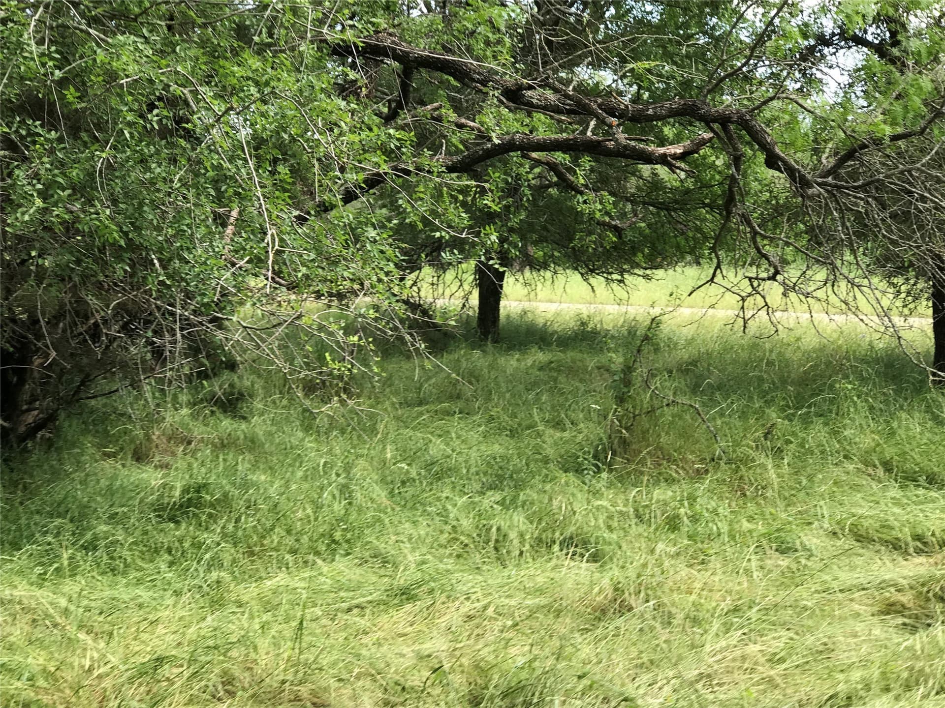 0.31 acres in Hill County - photo 16