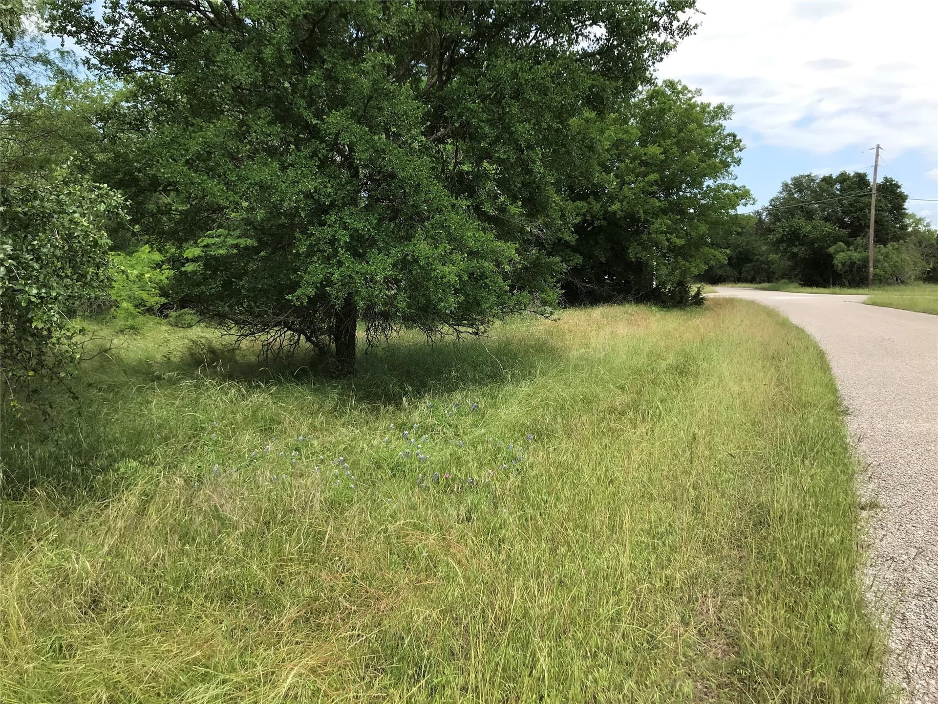 0.31 acres in Hill County - photo 21