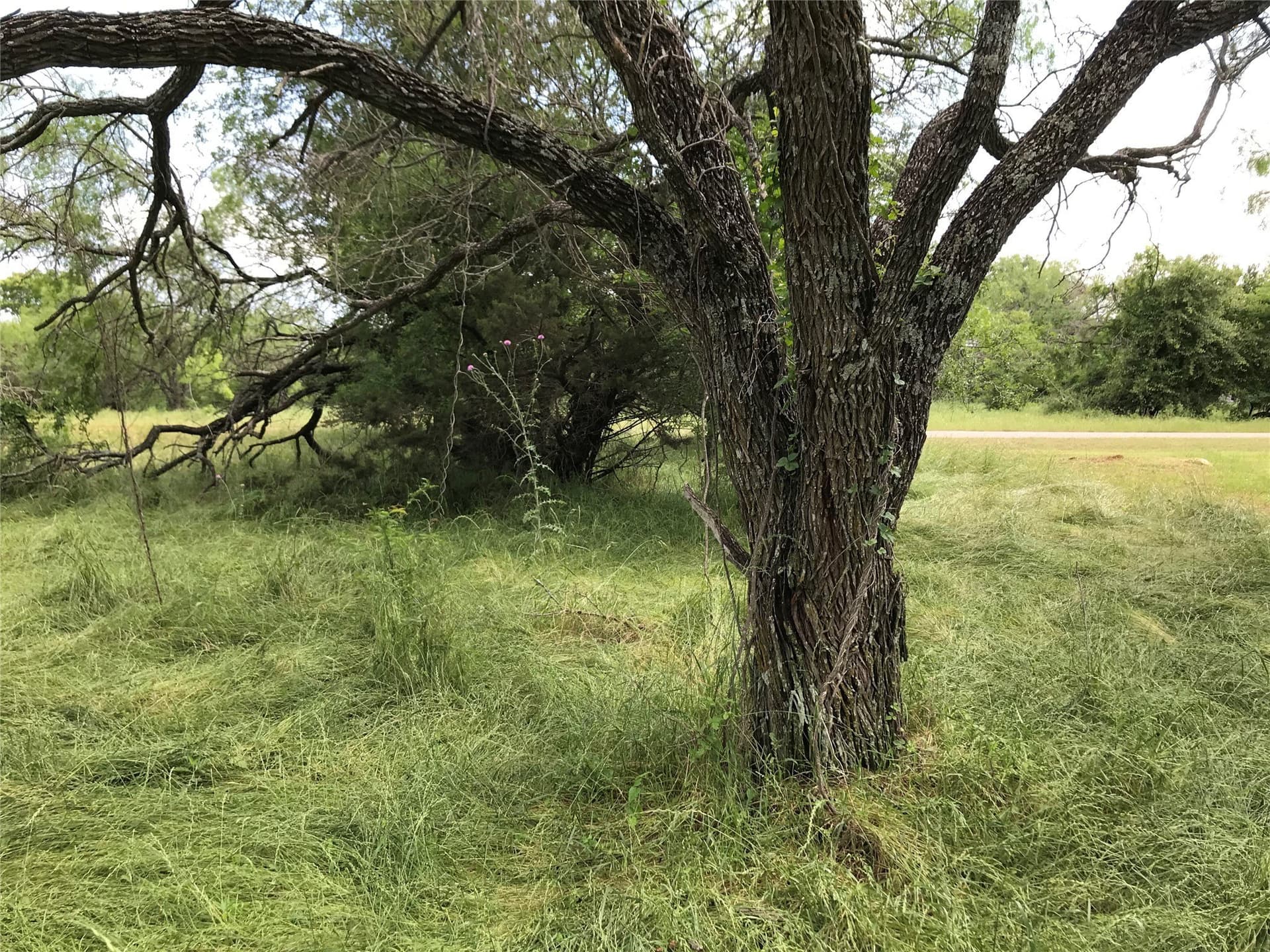 0.31 acres in Hill County - photo 15