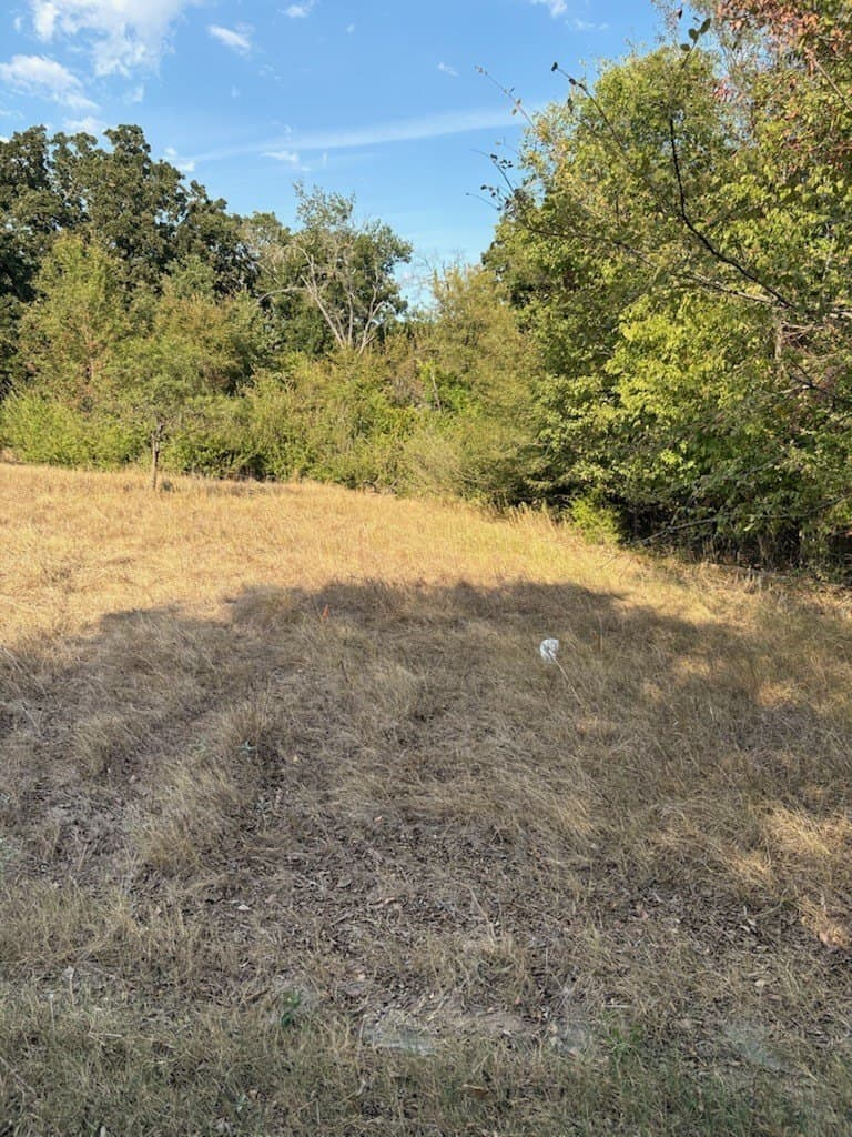 0.45 acres in Navarro County - photo 5