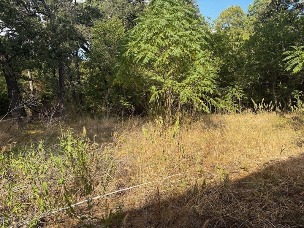 0.45 acres in Navarro County - photo 6