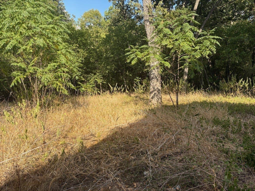 0.45 acres in Navarro County - photo 7