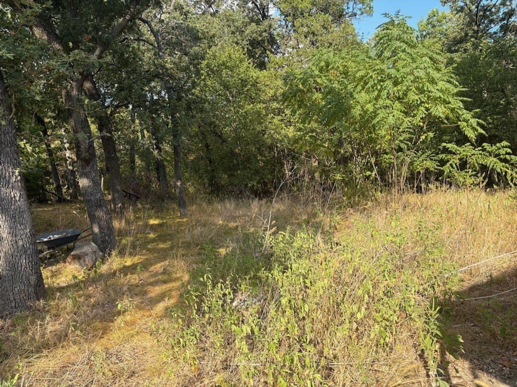 0.45 acres in Navarro County - photo 4