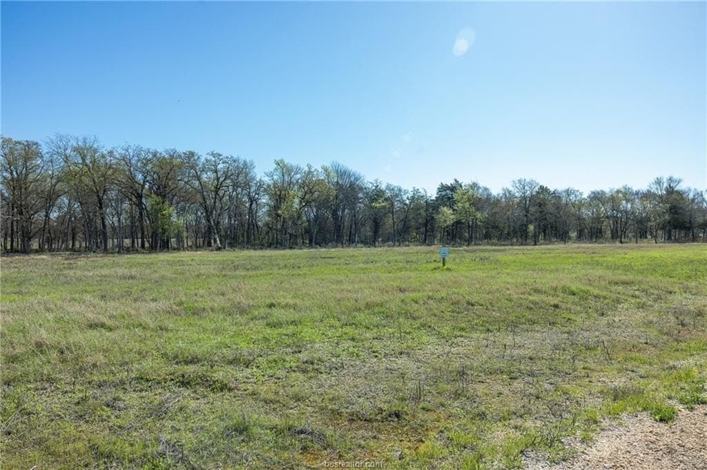 3.75 acres in Milam County gallery image 2