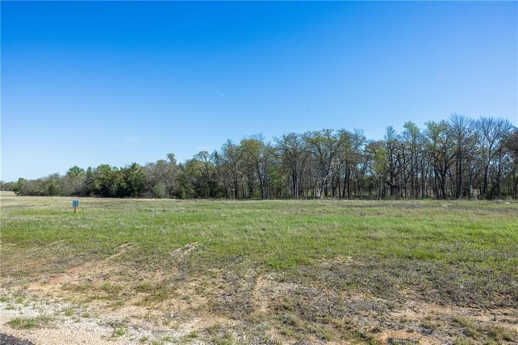 3.75 acres in Milam County gallery image 3