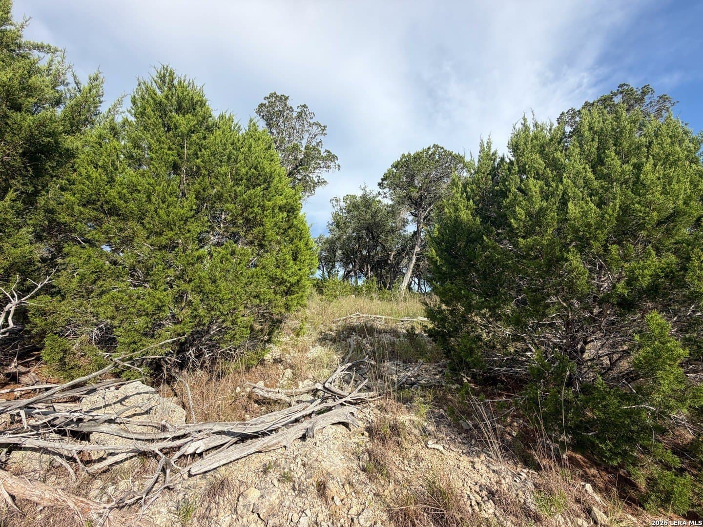 1.79 acres in Comal County - photo 16