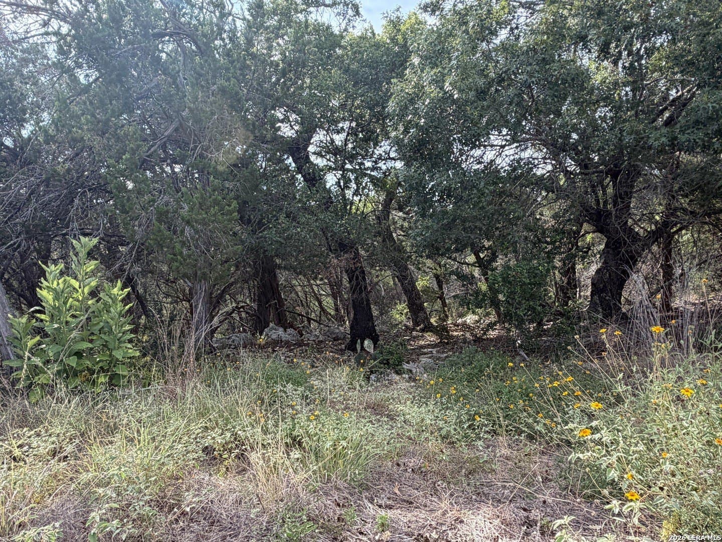 1.79 acres in Comal County - photo 9
