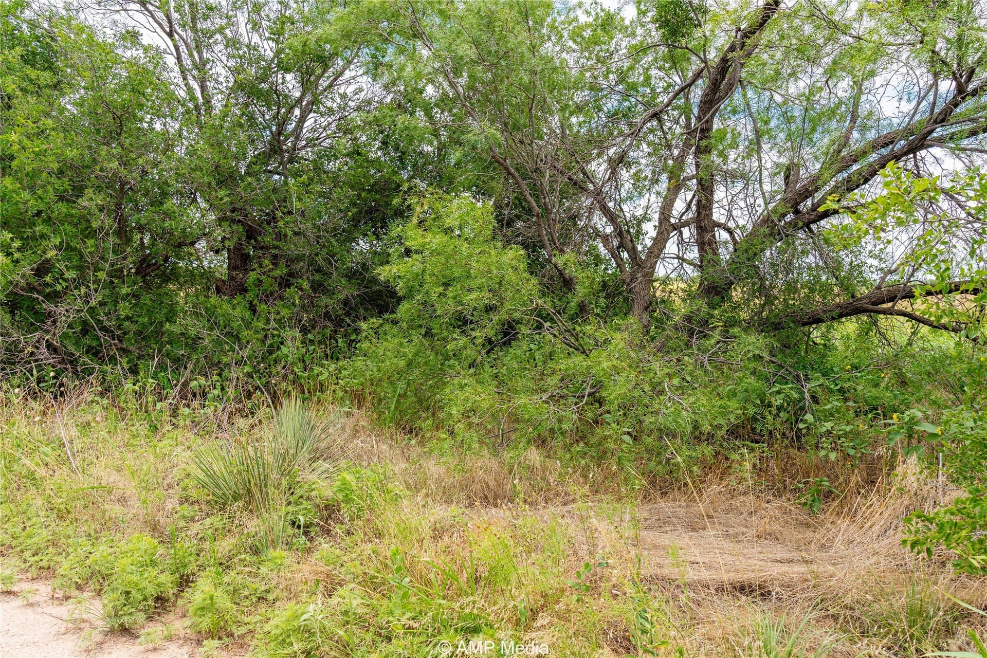 20 acres in Jones County - photo 3