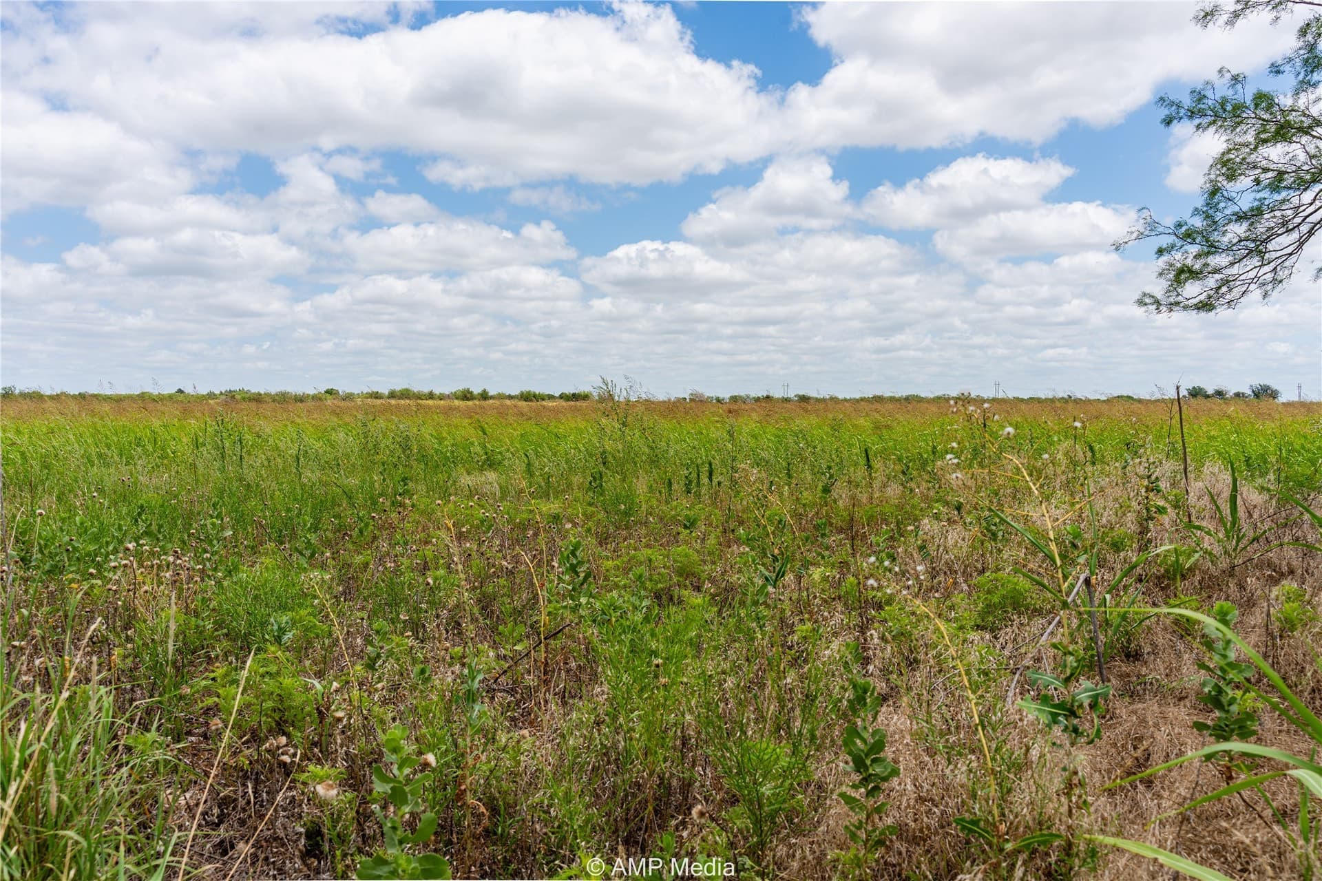 20 acres in Jones County - photo 5