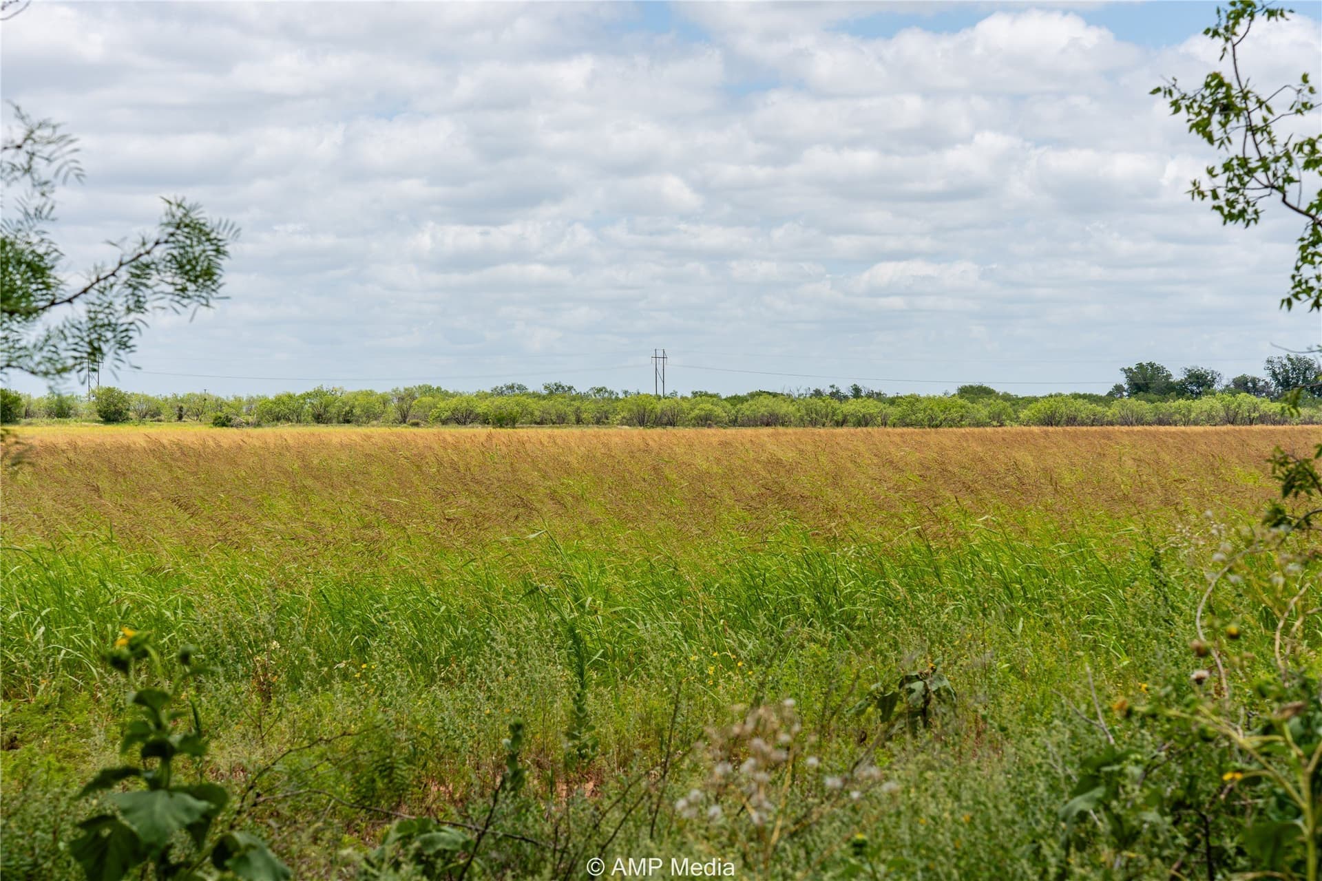 20 acres in Jones County - photo 4
