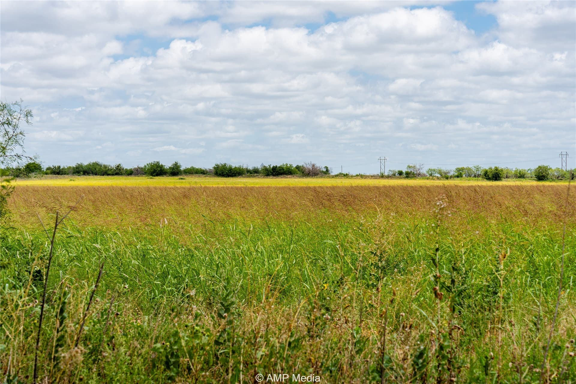 20 acres in Jones County - photo 2