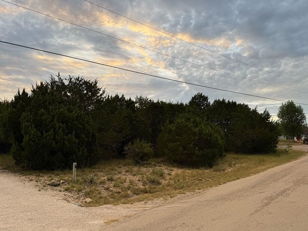 0.46 acres in Hood County - photo 4