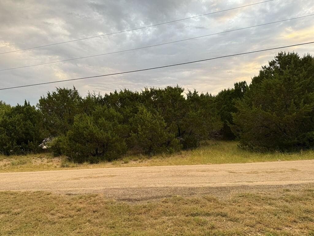 0.46 acres in Hood County - photo 3