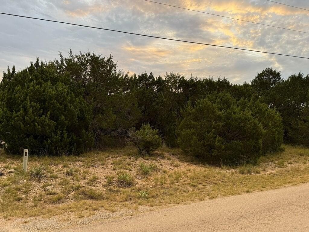 0.46 acres in Hood County - photo 2