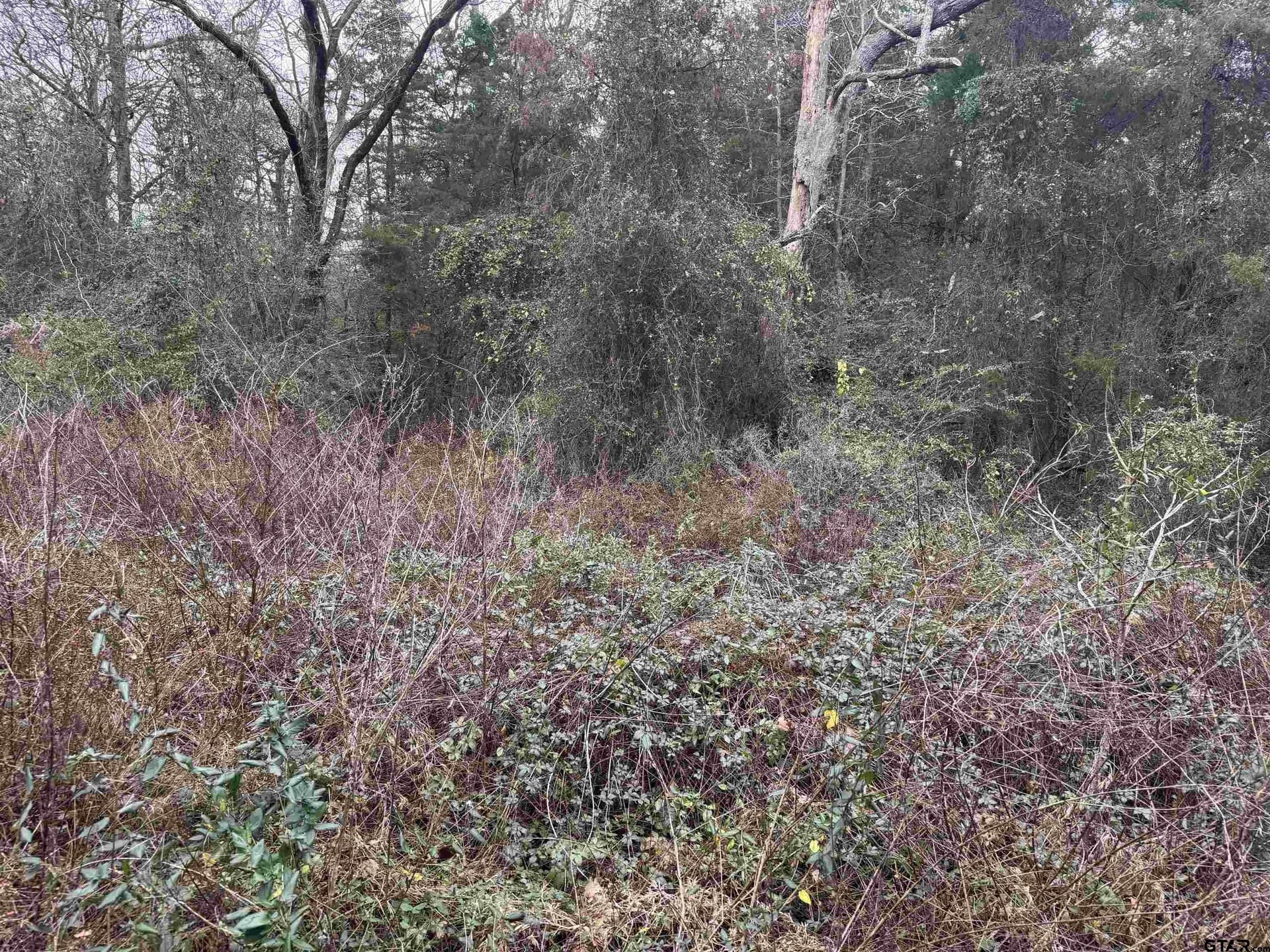 0.41 acres in Cherokee County gallery image 4