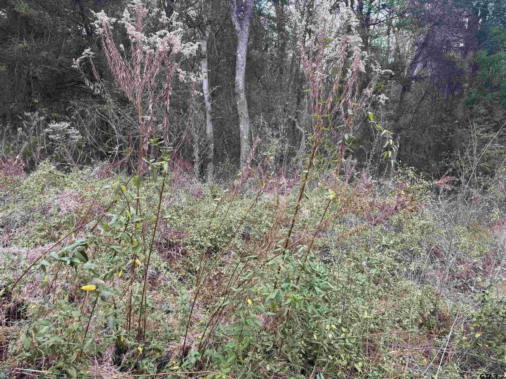 0.41 acres in Cherokee County gallery image 3