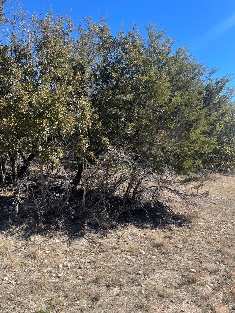 0.26 acres in Bandera County featured view